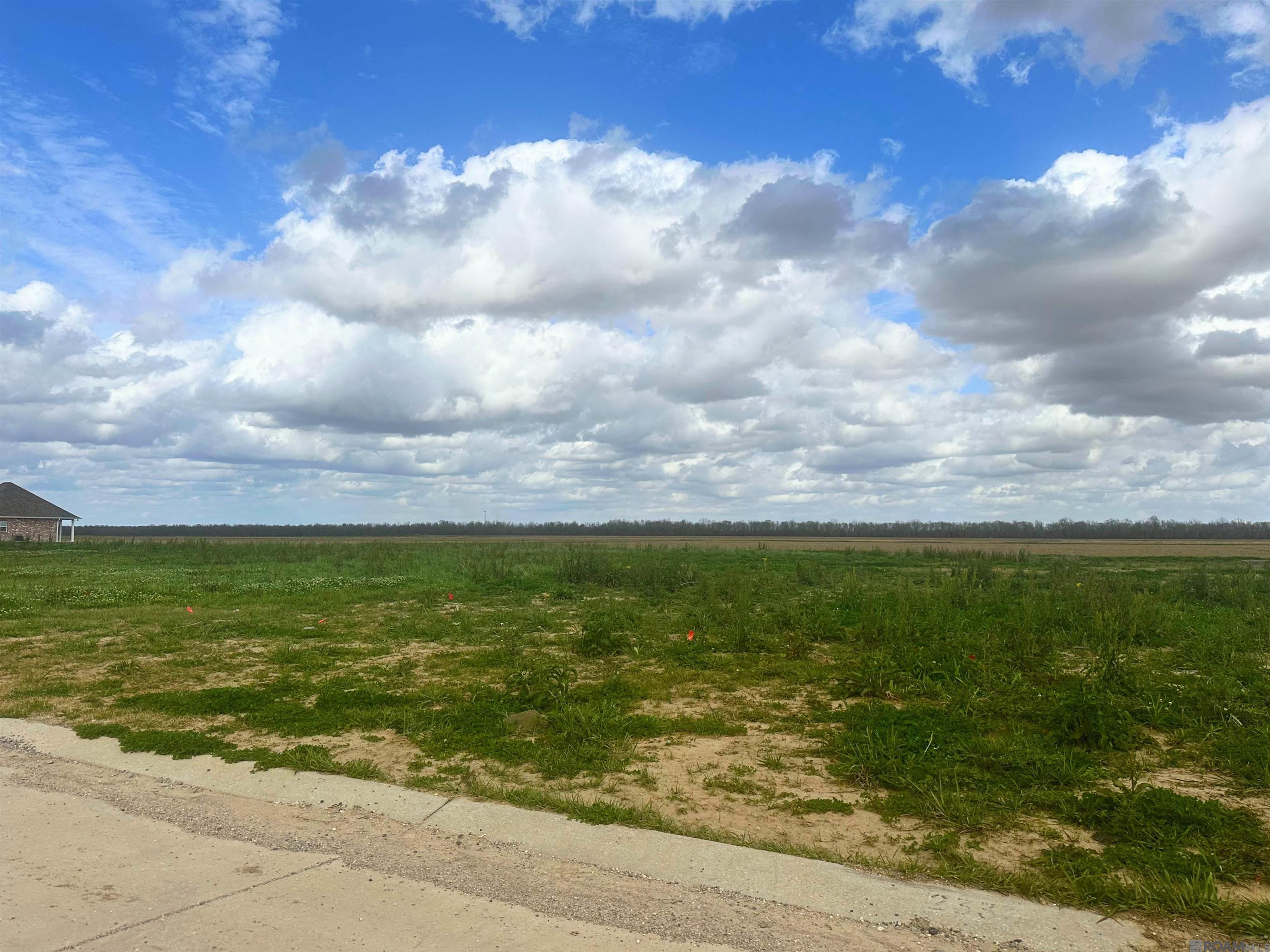 2330 E Bellevue Lakes St, Paulina, Louisiana image 3