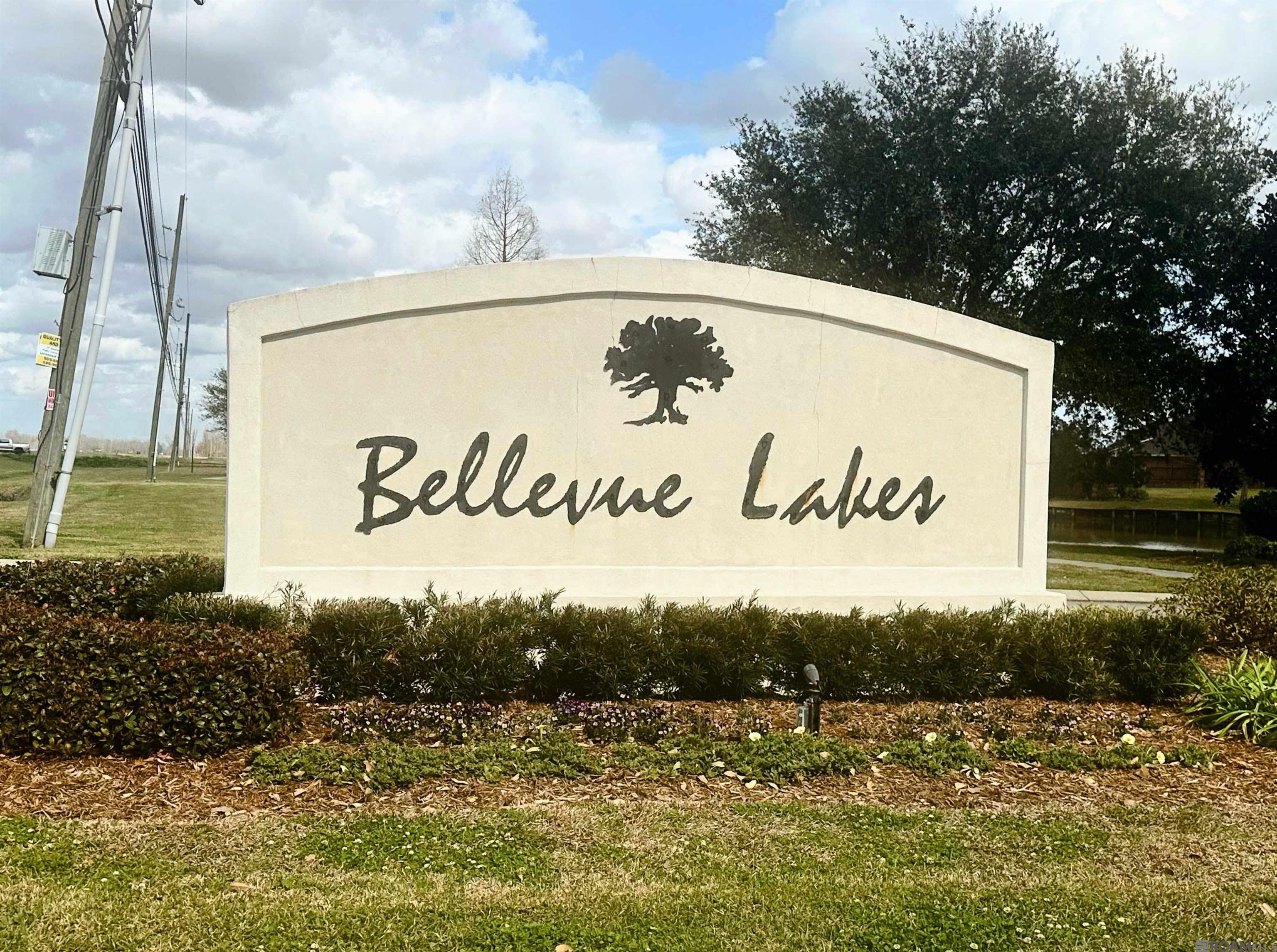2330 E Bellevue Lakes St, Paulina, Louisiana image 1