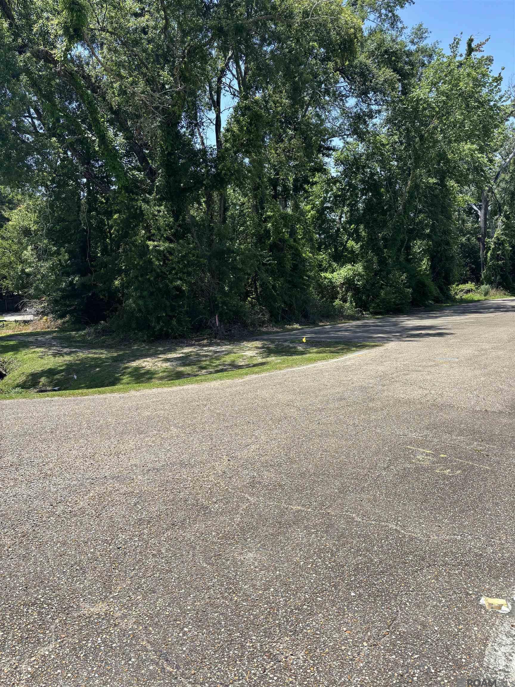TBD S Flannery Rd, Baton Rouge, Louisiana image 4
