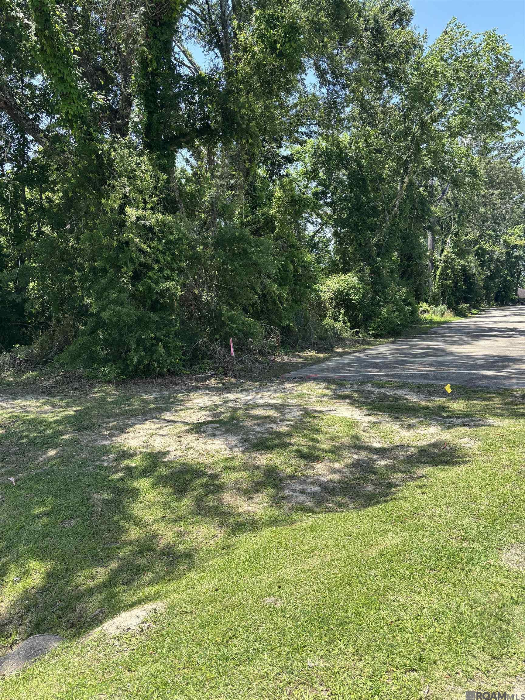 TBD S Flannery Rd, Baton Rouge, Louisiana image 2