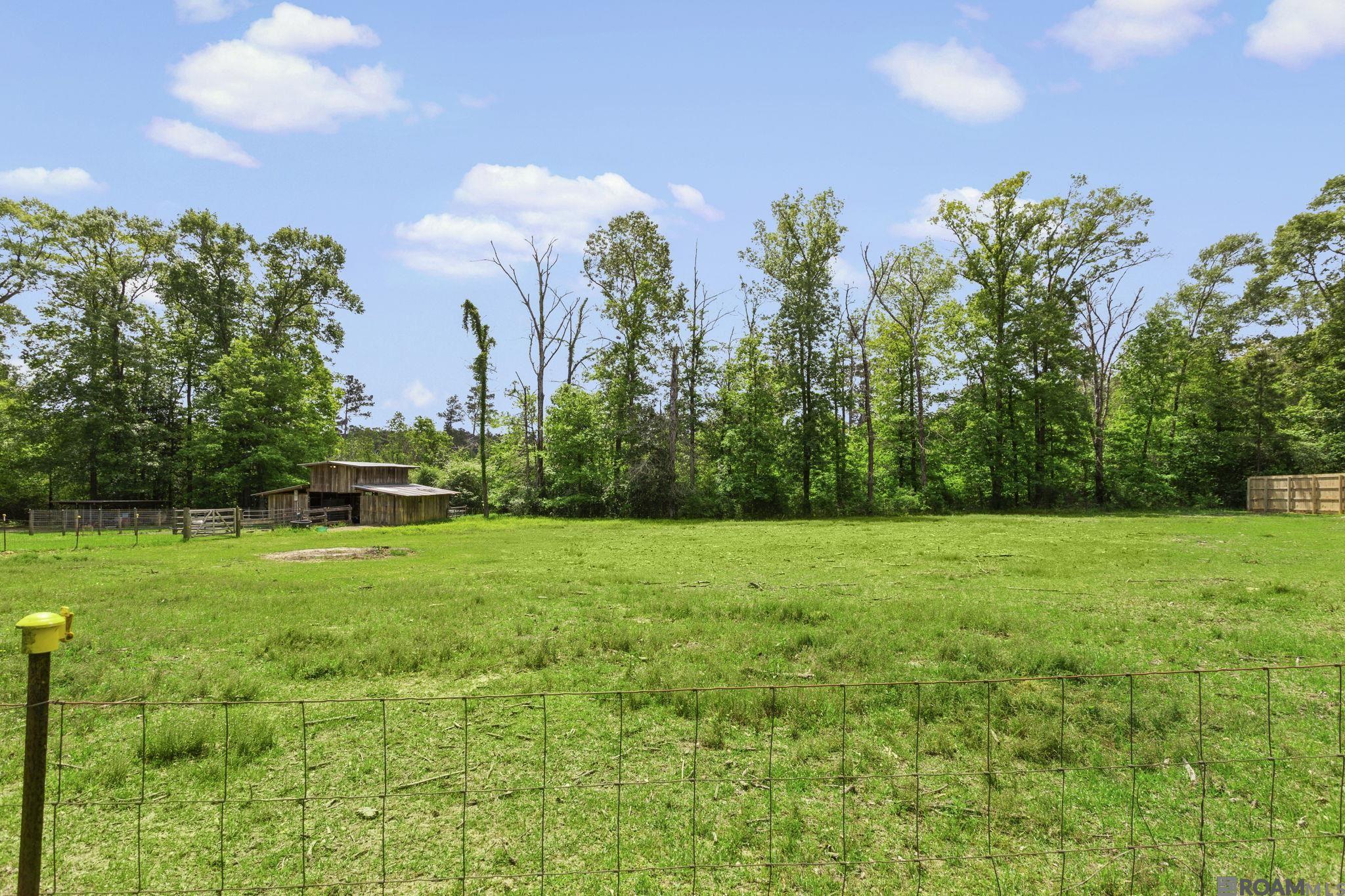 11257 Rist Rd, Clinton, Louisiana image 6