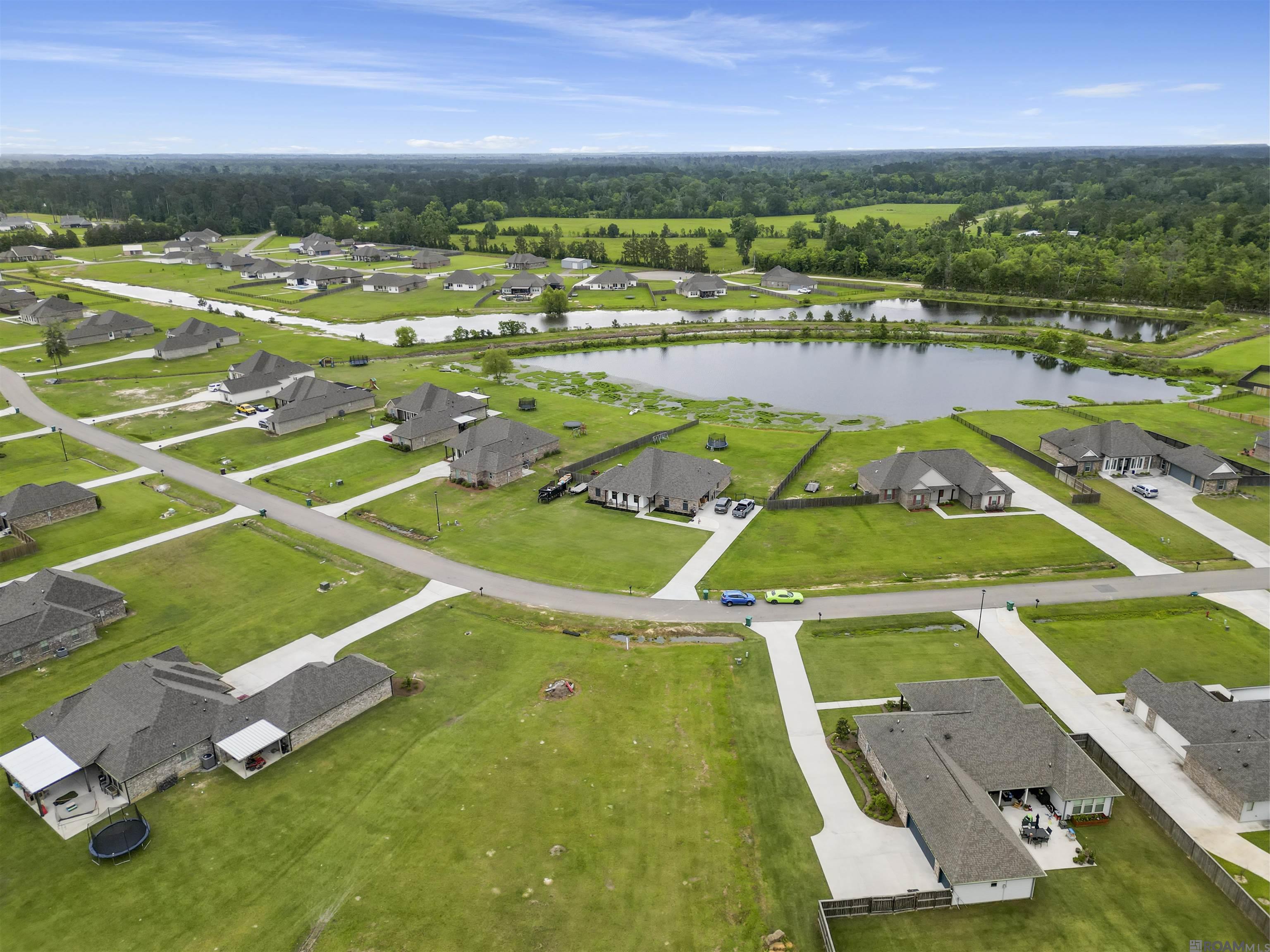 14124 Kaden Creek Dr, Walker, Louisiana image 1