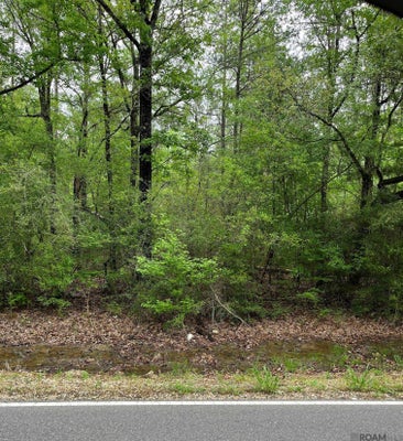 TBD TRACT 2 PRIDE-BAYWOOD RD, PRIDE, LA 70770 - Image a9f32bd6b740e6a4c3aa5b83131db79b/163369121
