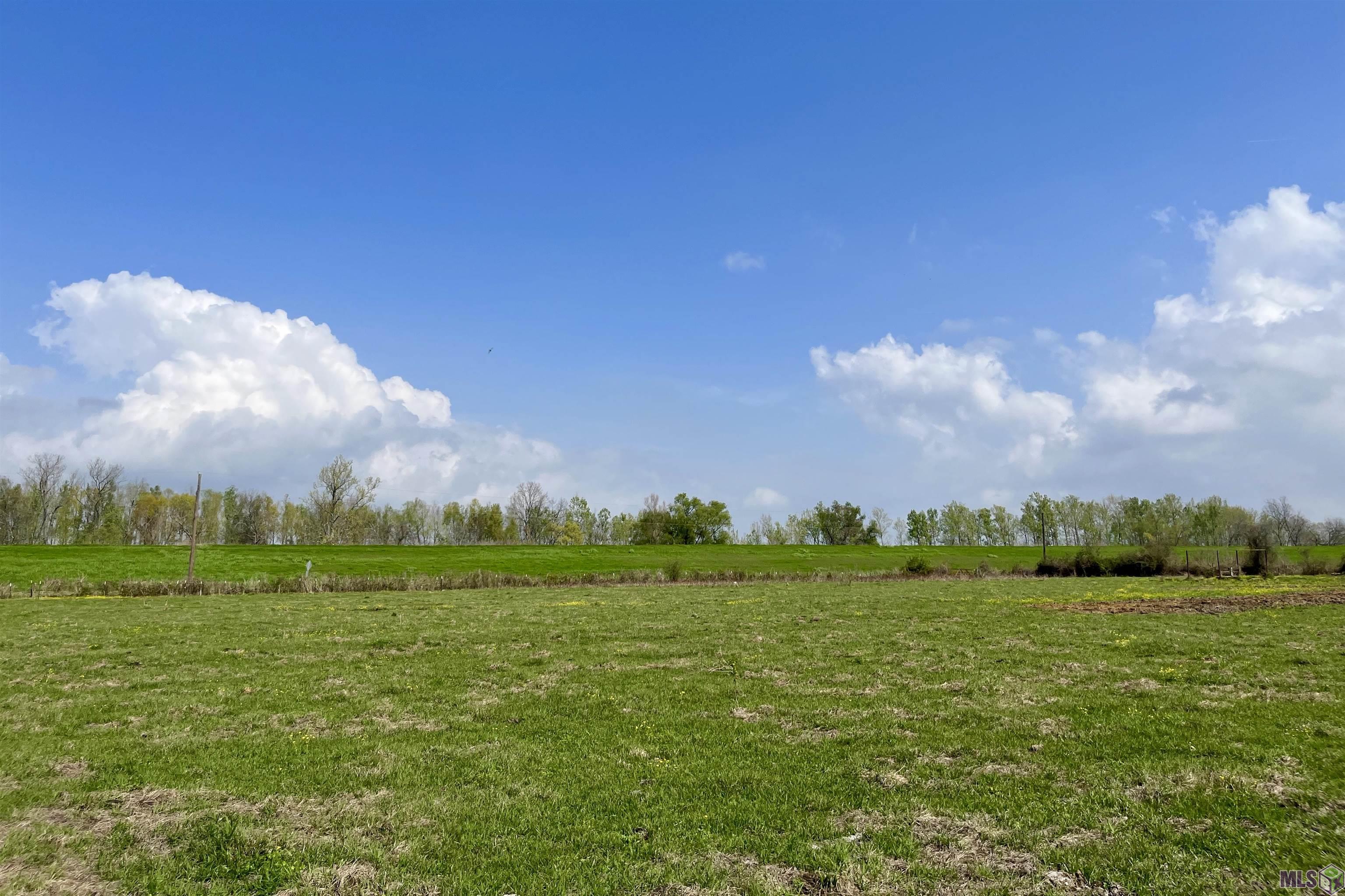 05 La Hwy 991, Sunshine, Louisiana image 3