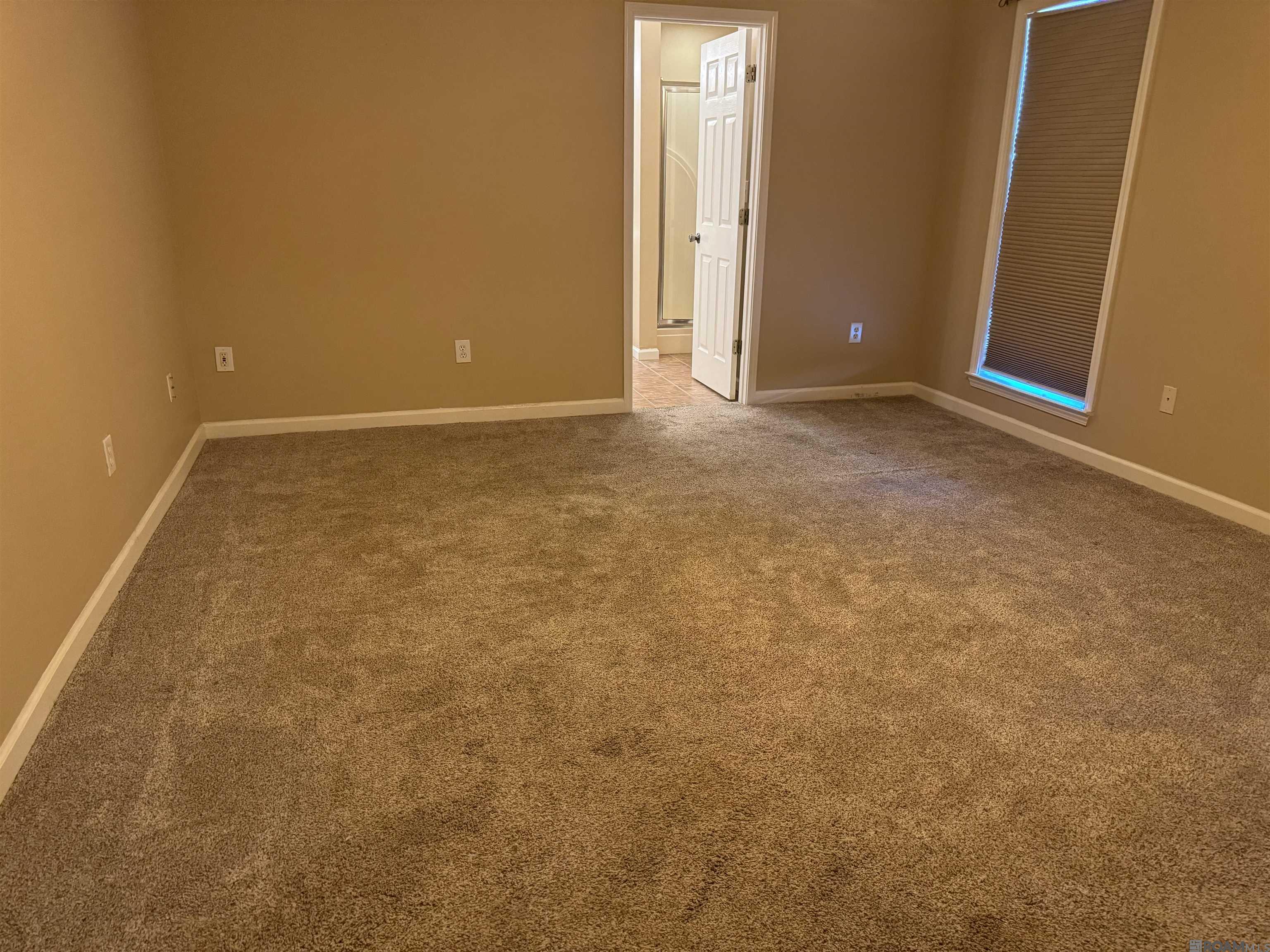 37036 N Millstone Dr, Geismar, Louisiana image 14
