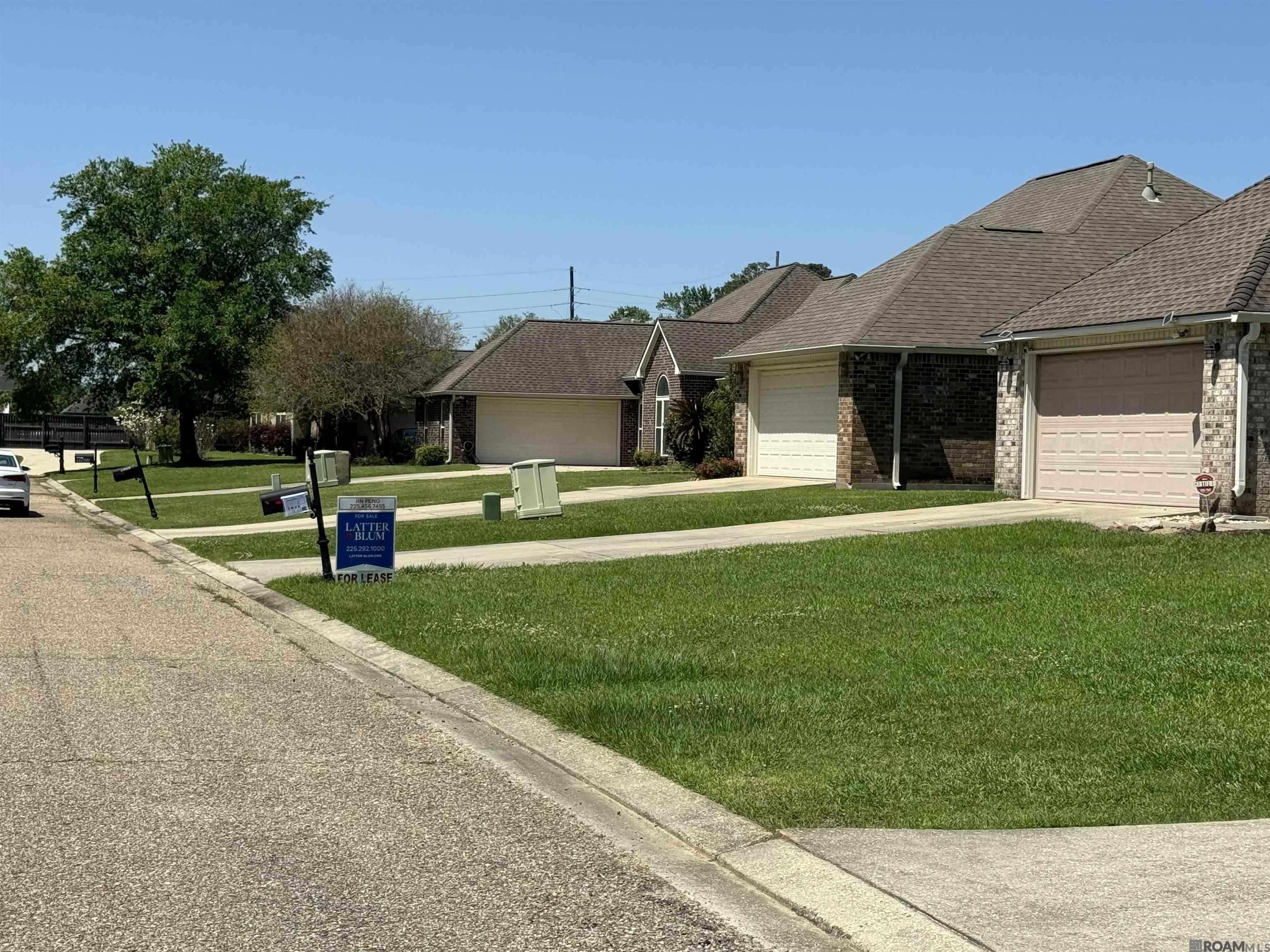 37036 N Millstone Dr, Geismar, Louisiana image 3