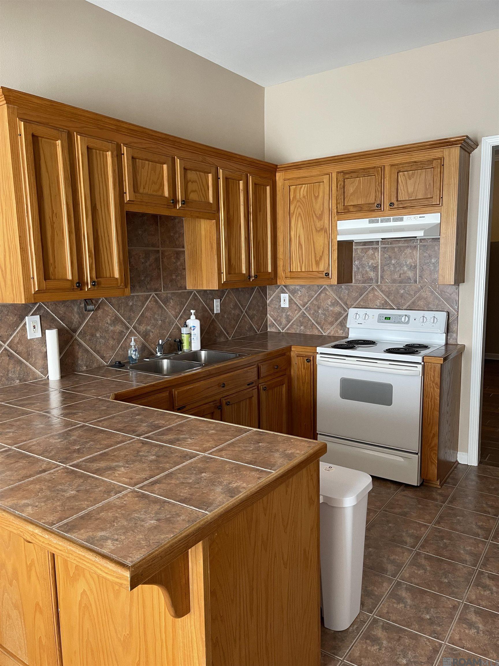 37036 N Millstone Dr, Geismar, Louisiana image 11