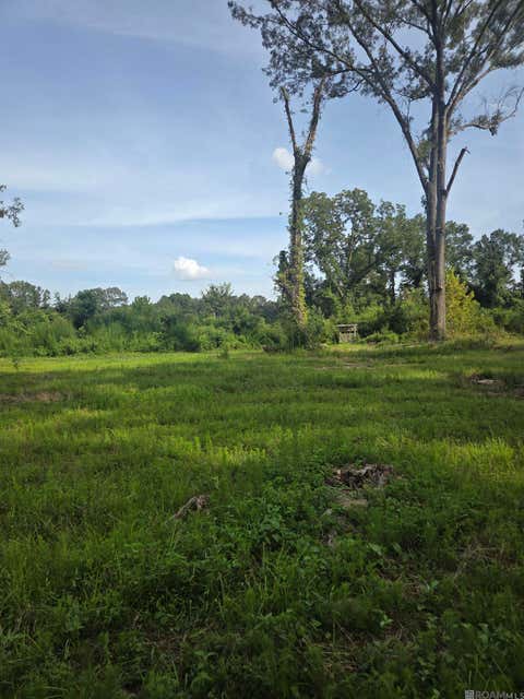 Vacant Land For Sale - 360 Perry Ct<br/> Woodville, MS 39669