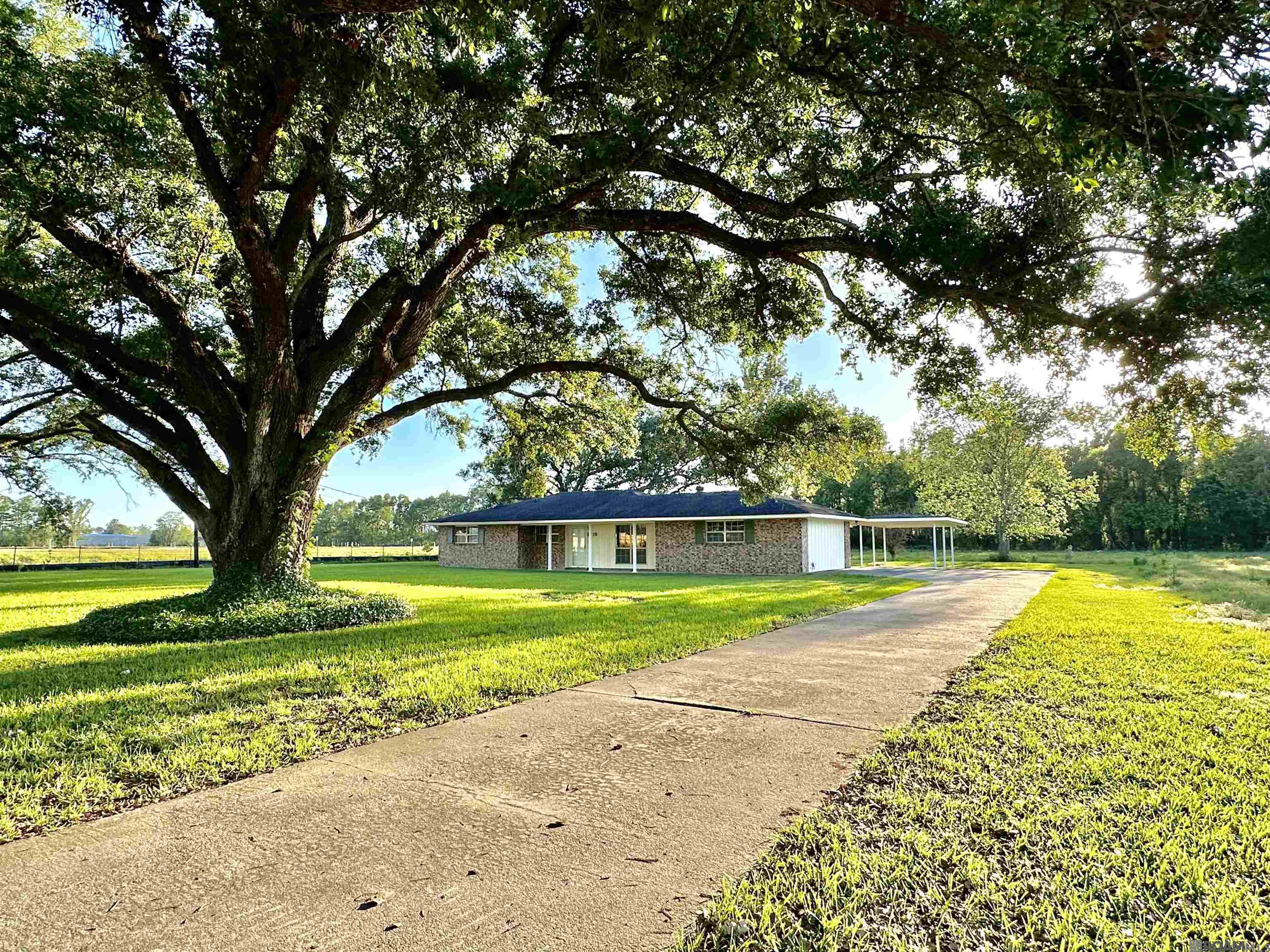 1219 S Lanoux Ave, Gonzales, Louisiana image 3