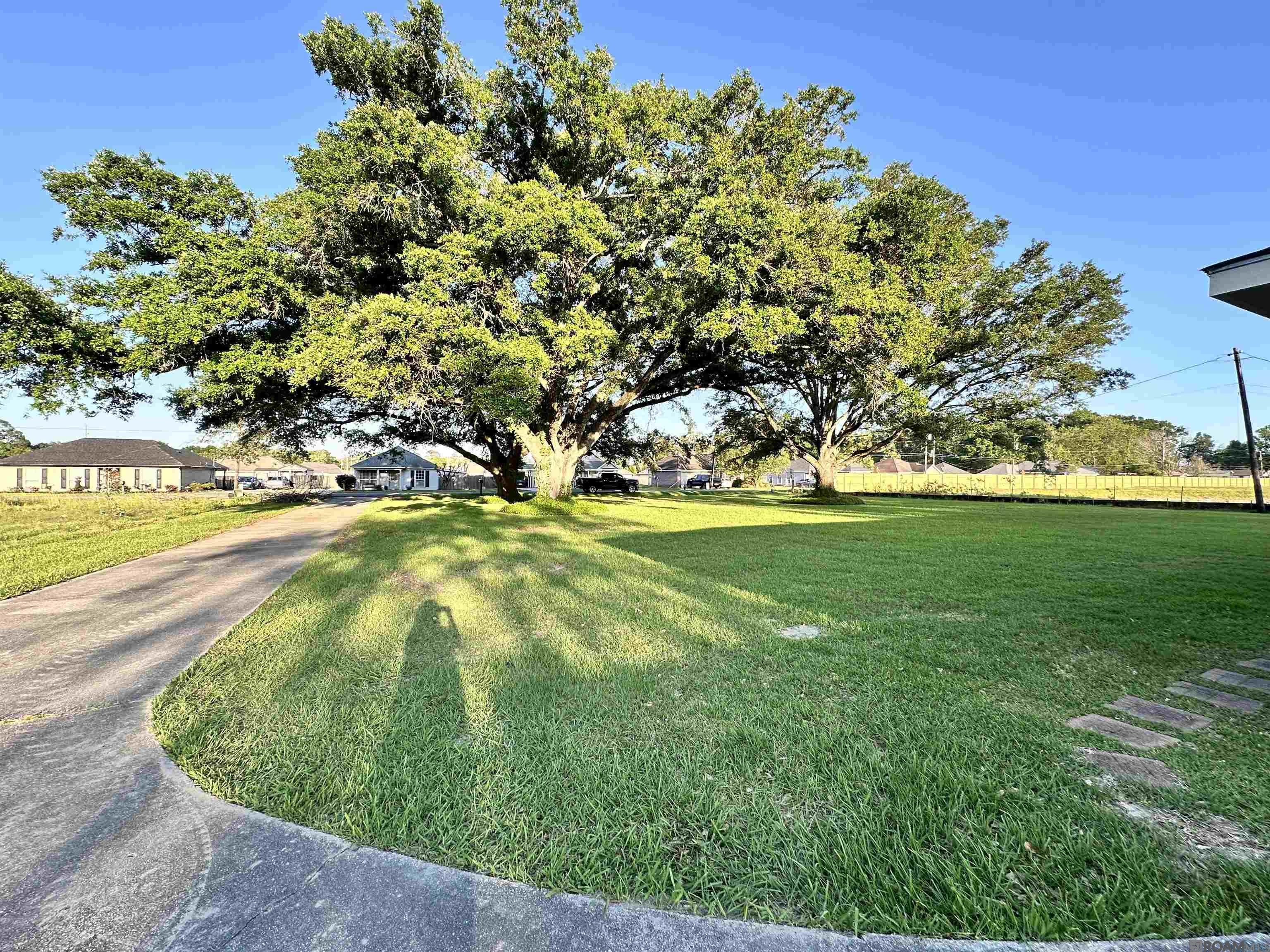 1219 S Lanoux Ave, Gonzales, Louisiana image 24