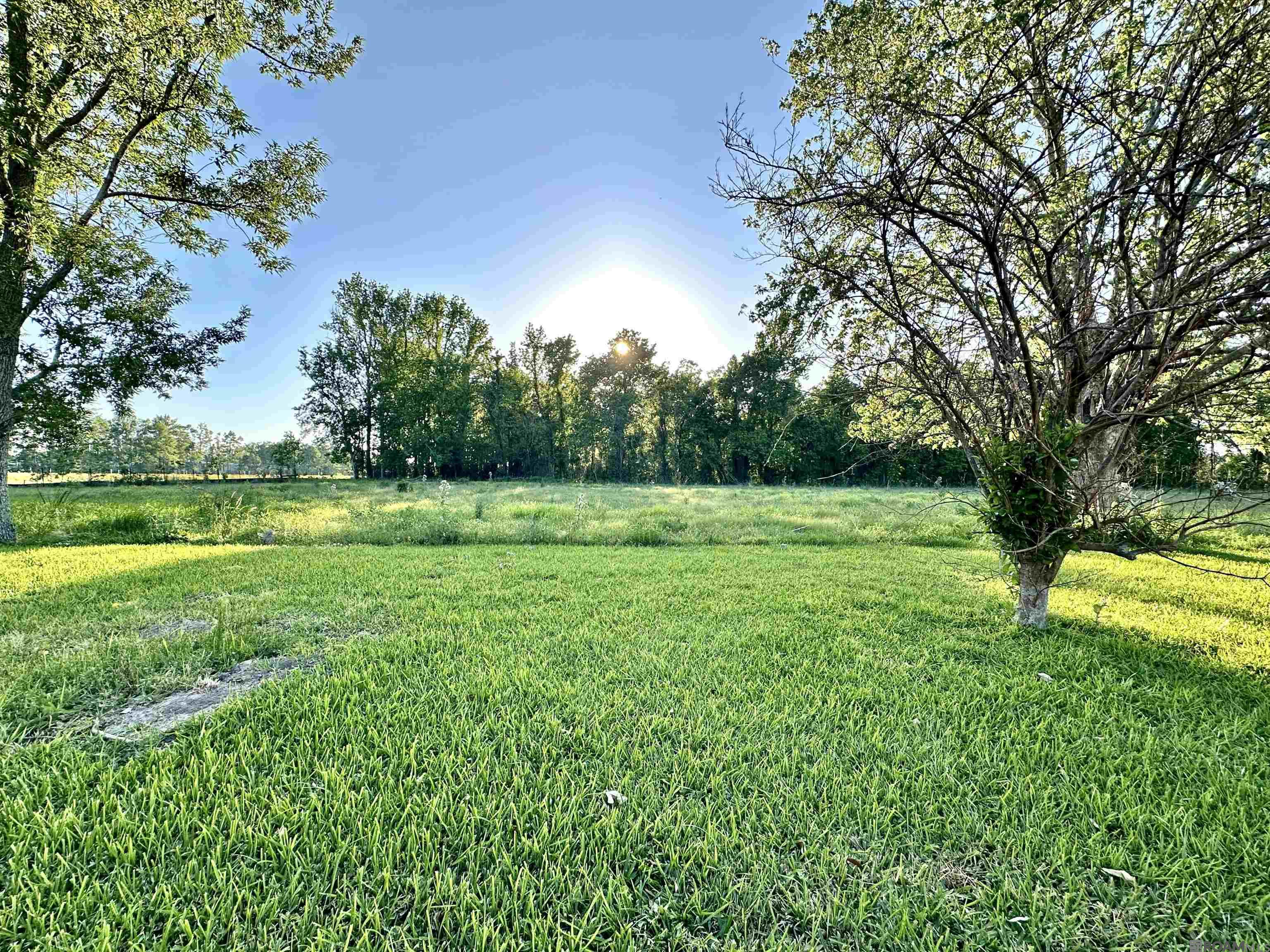 1219 S Lanoux Ave, Gonzales, Louisiana image 20