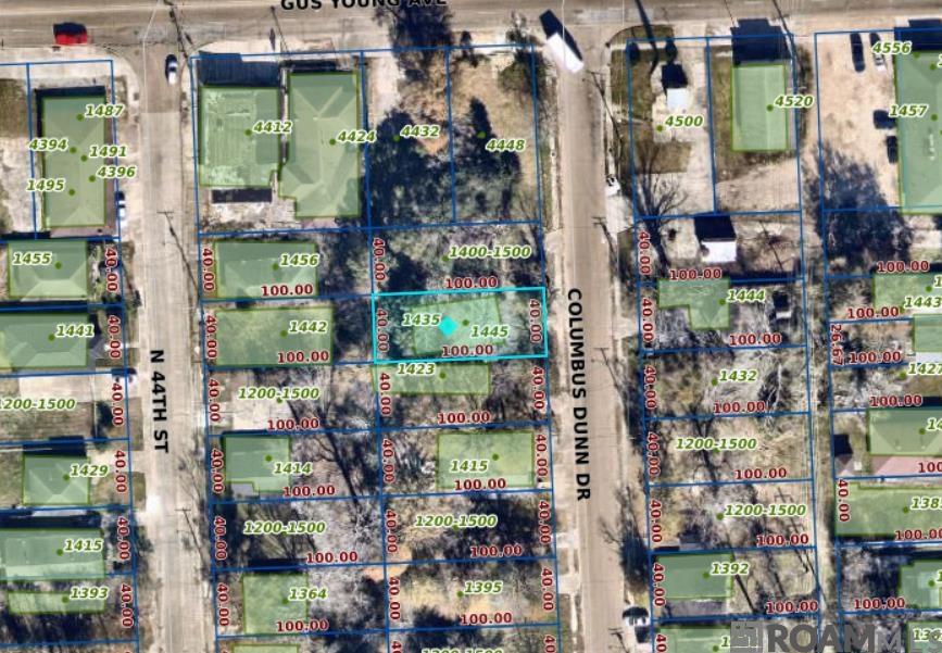 1445 Columbus Dunn Dr, Baton Rouge, Louisiana image 1