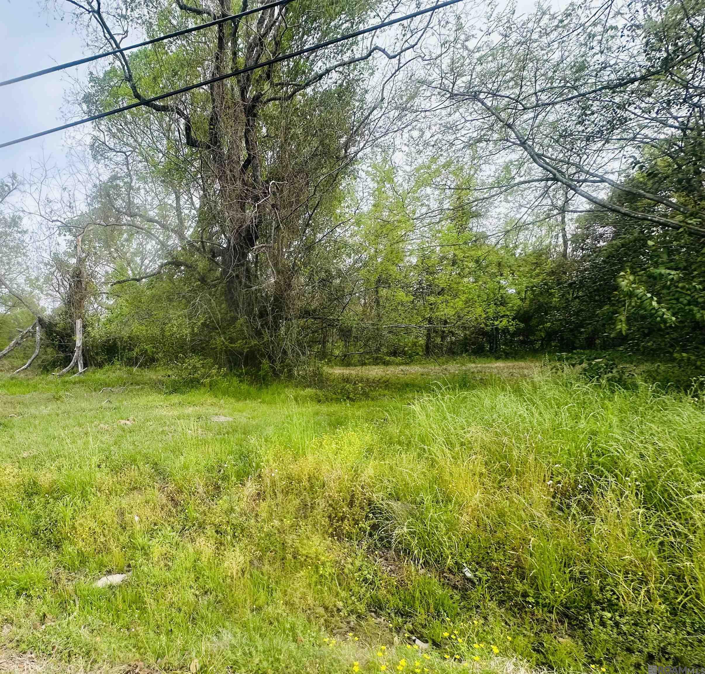 Paige St, Baton Rouge, Louisiana image 2