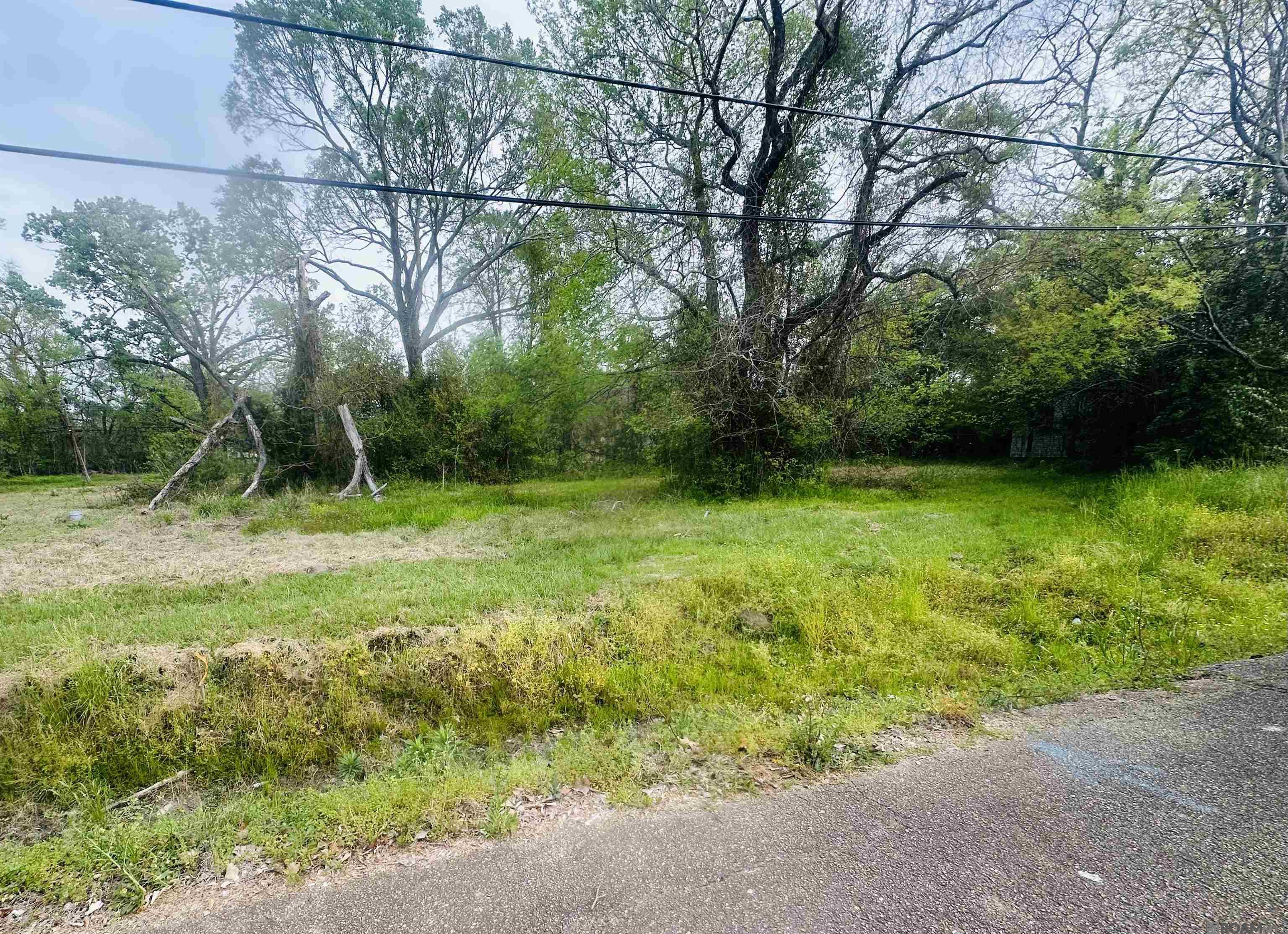 Paige St, Baton Rouge, Louisiana image 1