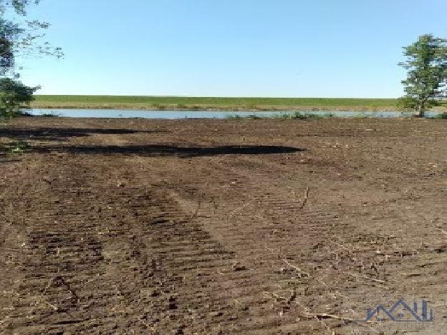 TBD Highway 3235, Cut Off, Louisiana image 7