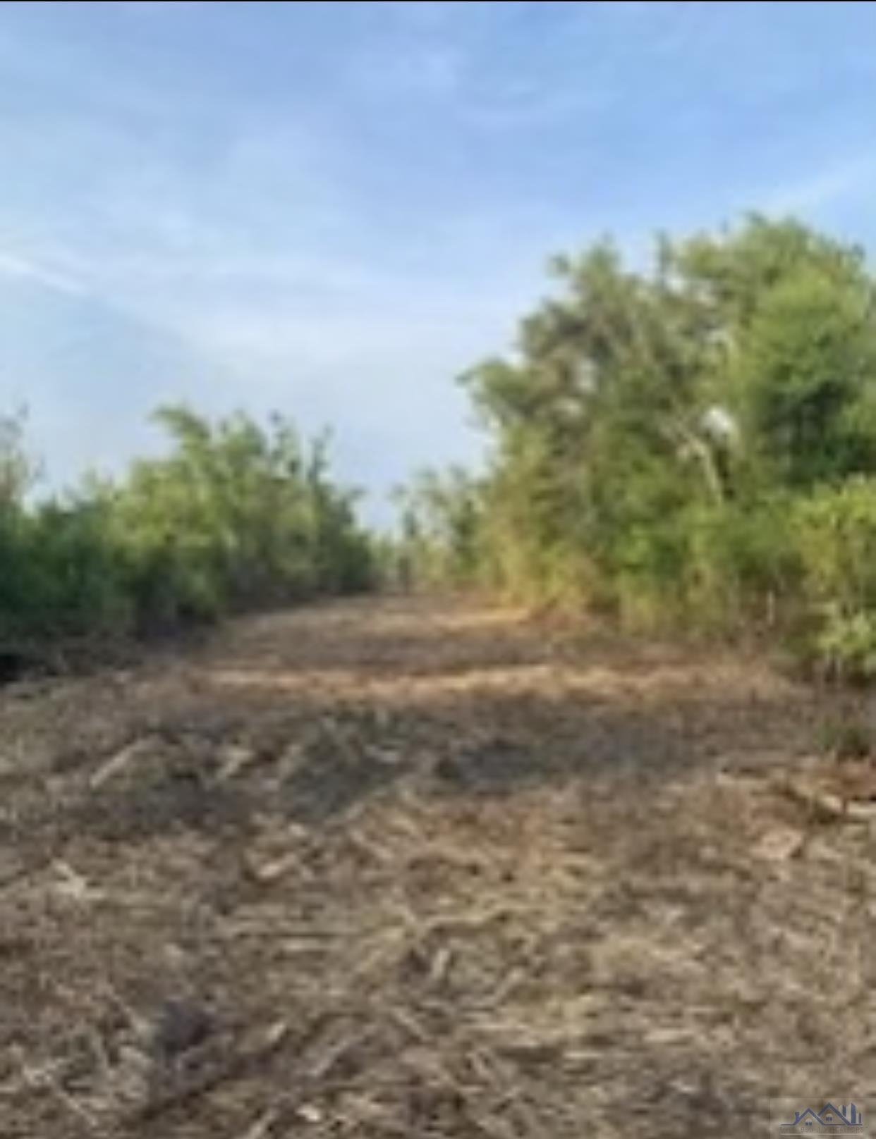 TBD Highway 3235, Cut Off, Louisiana image 3