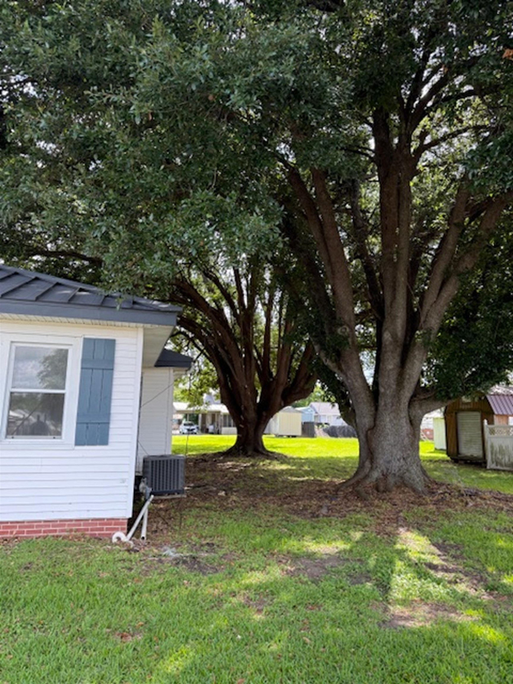 207 Ferdinand St, Lockport, Louisiana image 22
