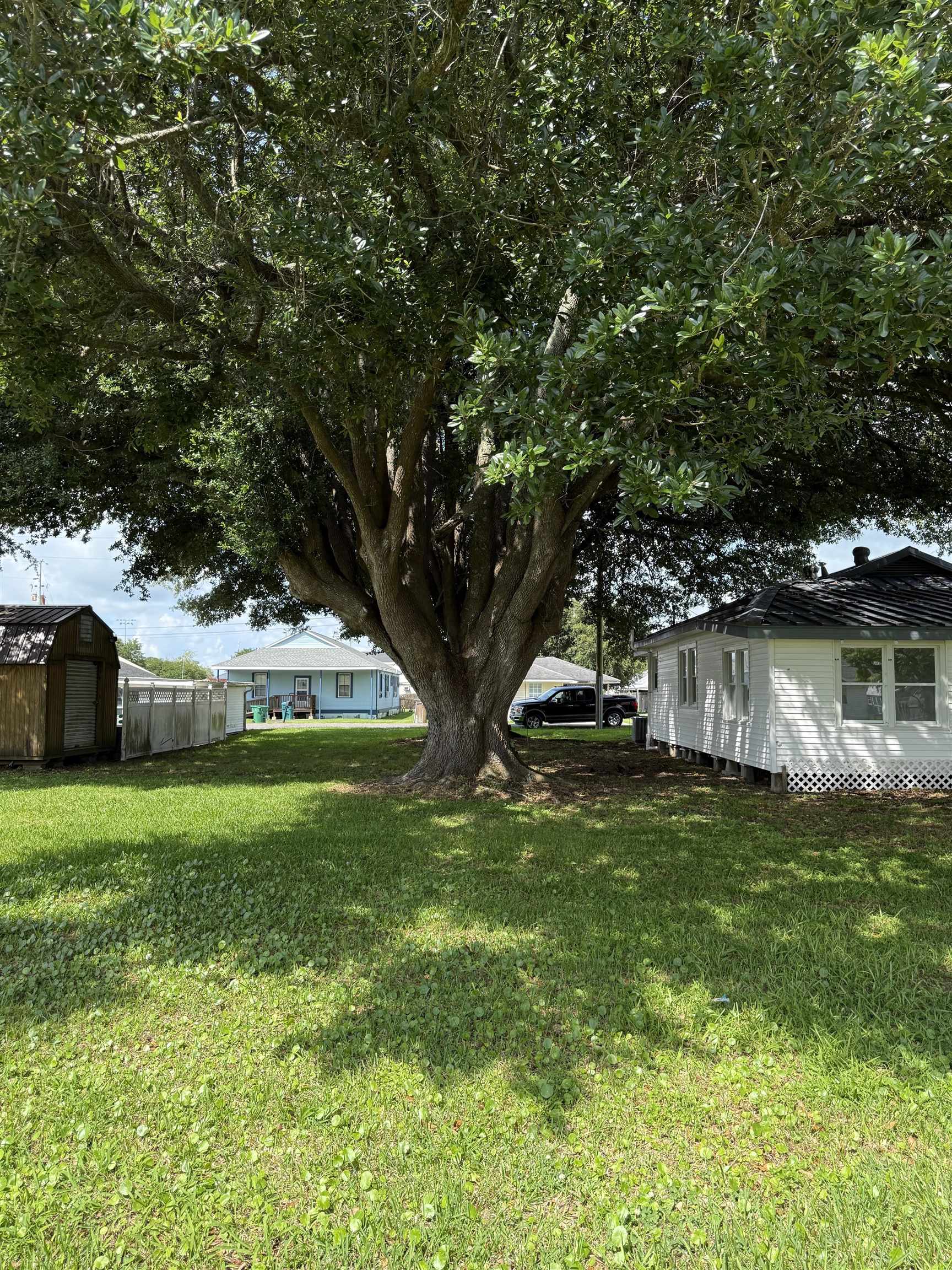207 Ferdinand St, Lockport, Louisiana image 23