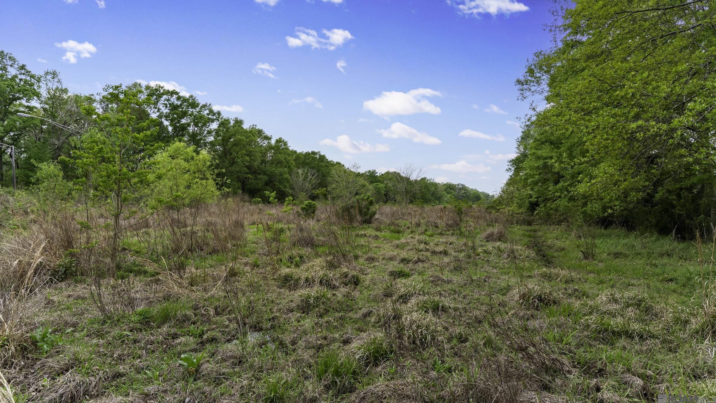 13493 Plank Rd, Baker, Louisiana image 4