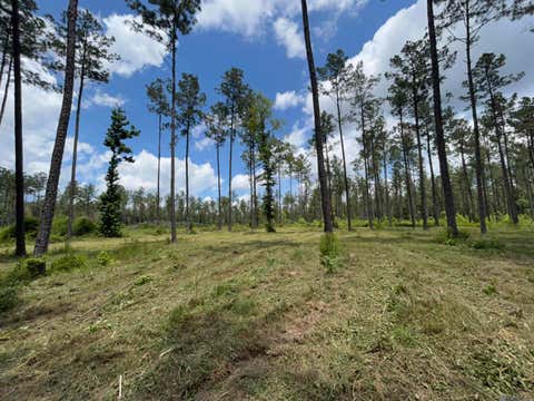 Vacant Land For Sale - 14856 Pace Rd<br/> Clinton, LA 70722