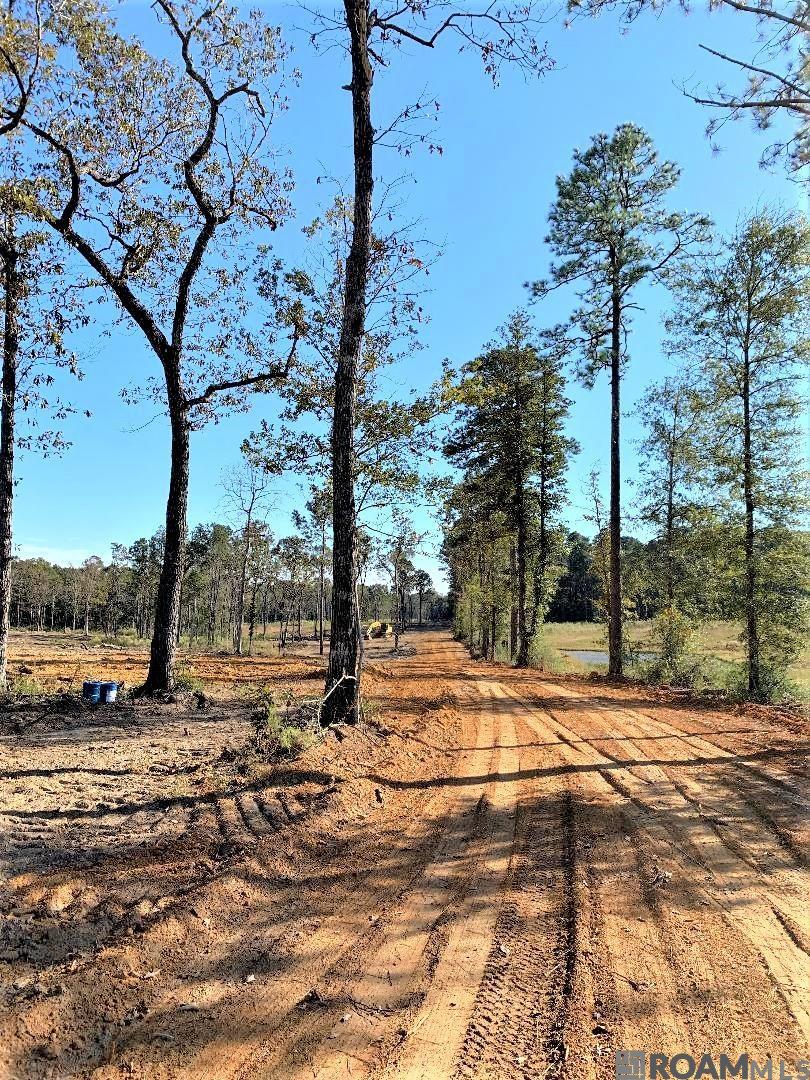 1E La Hwy 63, Clinton, Louisiana image 5