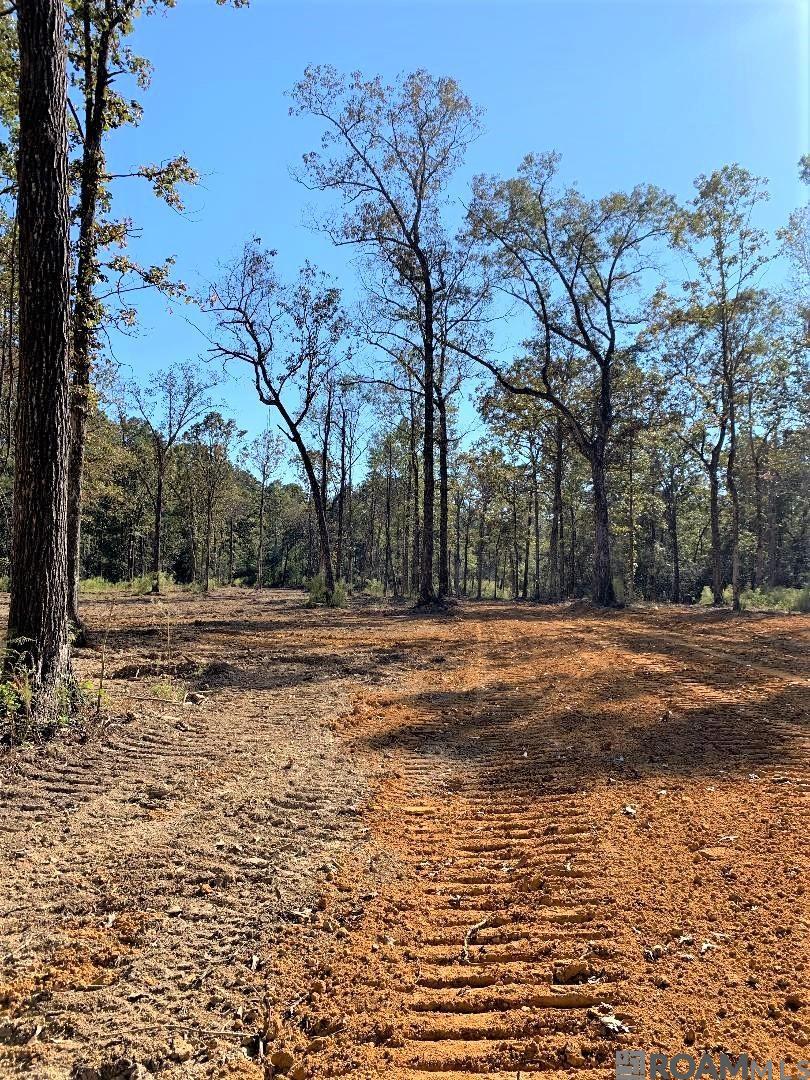 1E La Hwy 63, Clinton, Louisiana image 8
