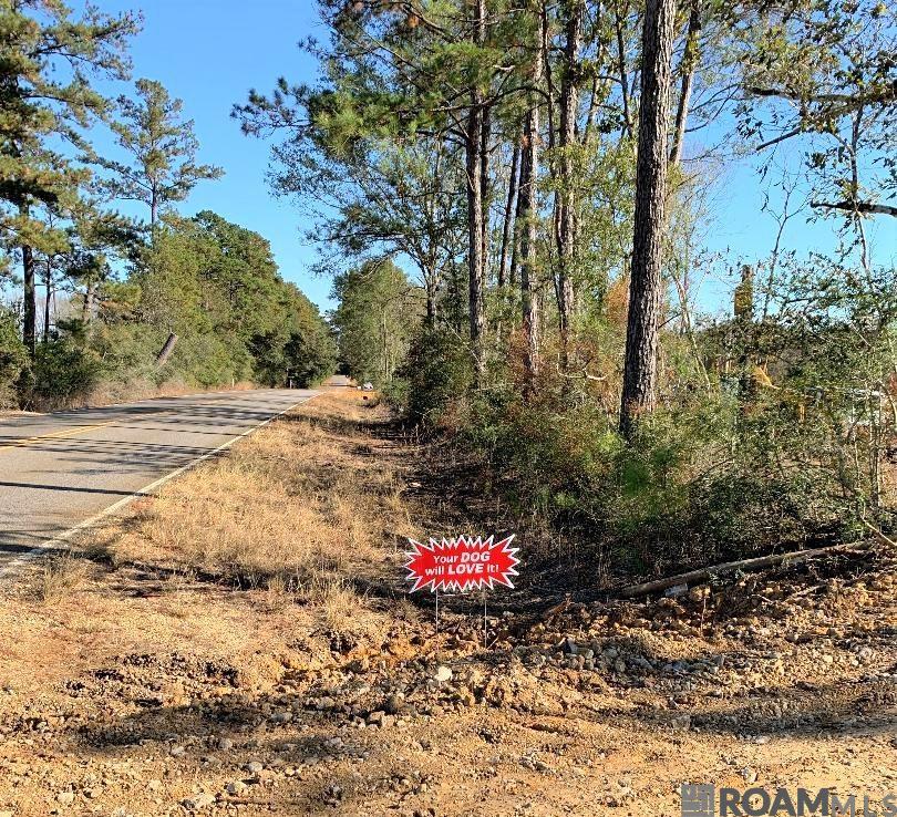 1E La Hwy 63, Clinton, Louisiana image 9