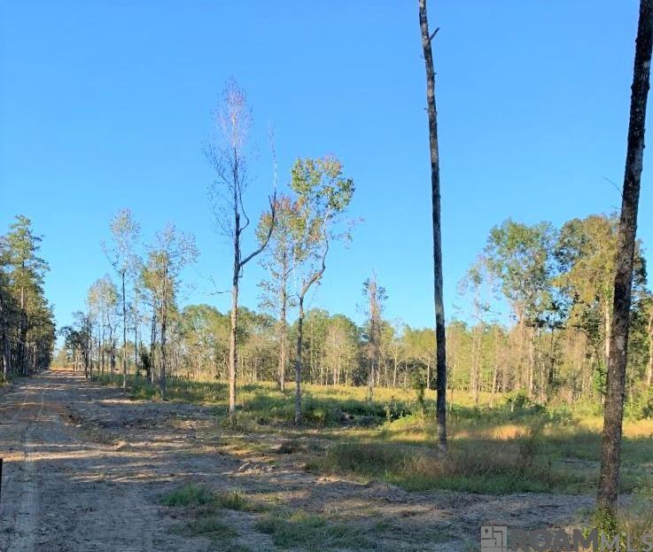 1E La Hwy 63, Clinton, Louisiana image 3