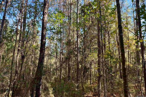 Vacant Land For Sale - 02 Hwy 1046<br/> Saint Helena County, Amite, LA 70442