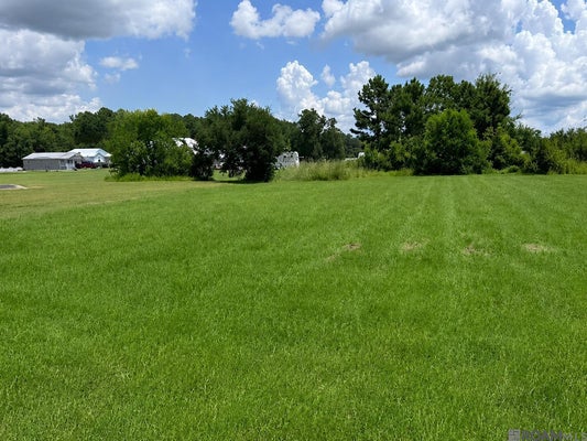 17070 COLES CREEK DR, SPRINGFIELD, LA 70462 - Image b0f7b5c2dec5a862eef8165ebd8e6b35/759133512