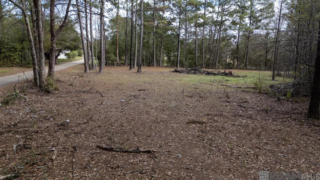 Browns Rd, Folsom, Louisiana image 5