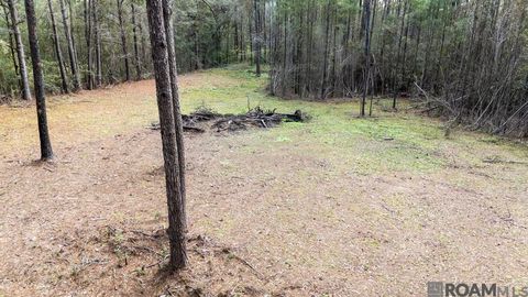 Vacant Land For Sale - 11542 Browns Rd<br/> Folsom, LA 70437