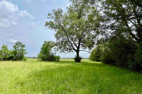 Vacant Land For Sale - 05 Hokaday Rd<br/> Slaughter, LA 70777