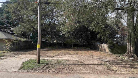 Vacant Land For Sale - 756 Arlington Ave<br/> Baton Rouge, LA 70806