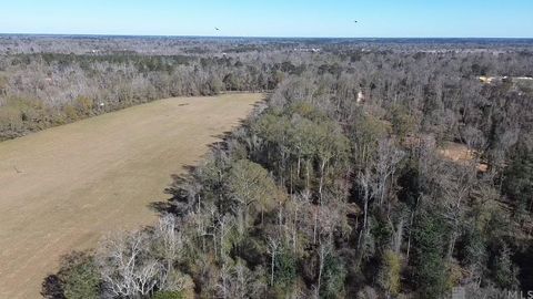 Vacant Land For Sale - 4175 La Hwy 441<br/> Saint Helena County, Montpelier, LA 70422
