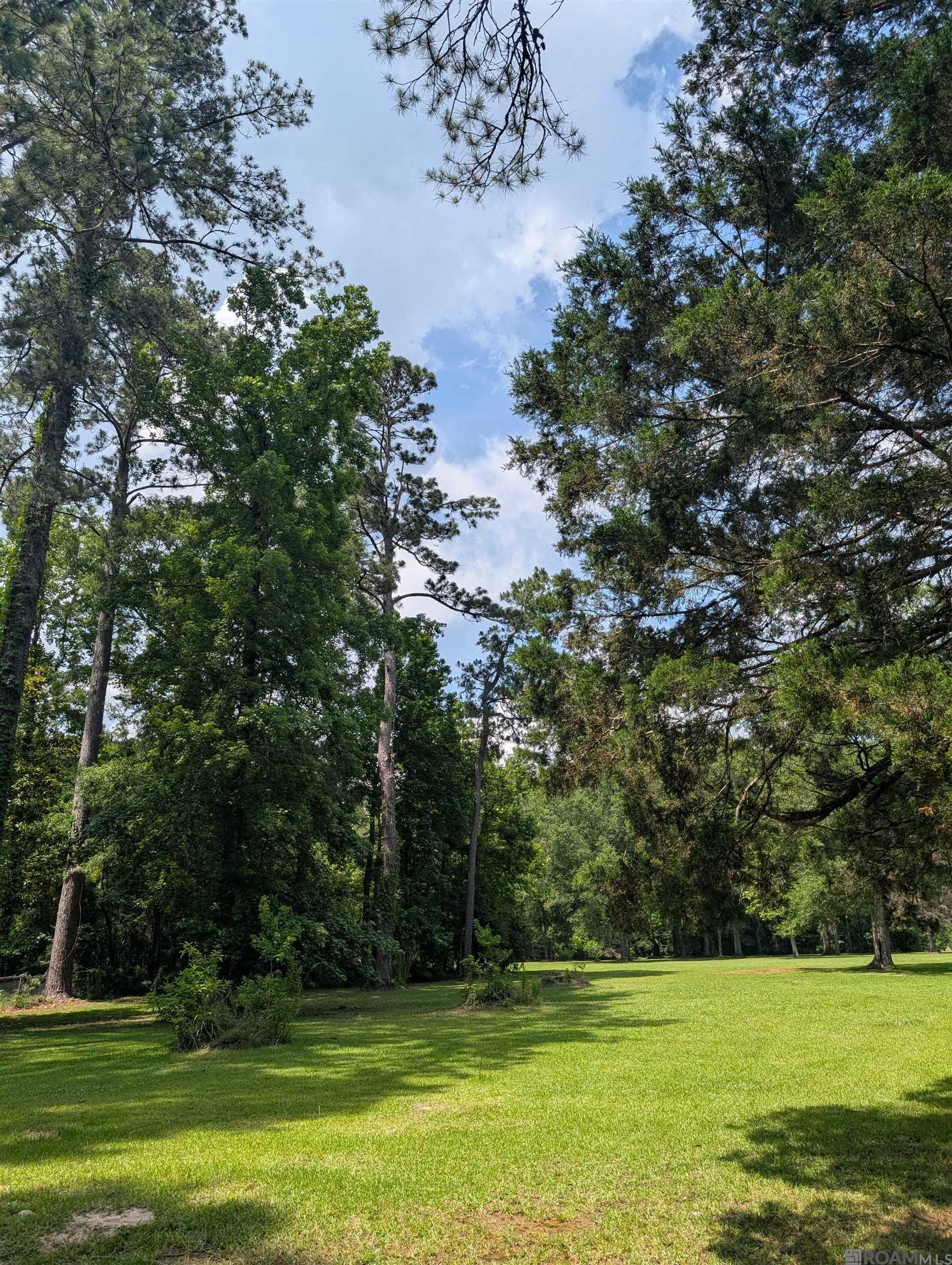 TBD Newton St, Jackson, Louisiana image 3