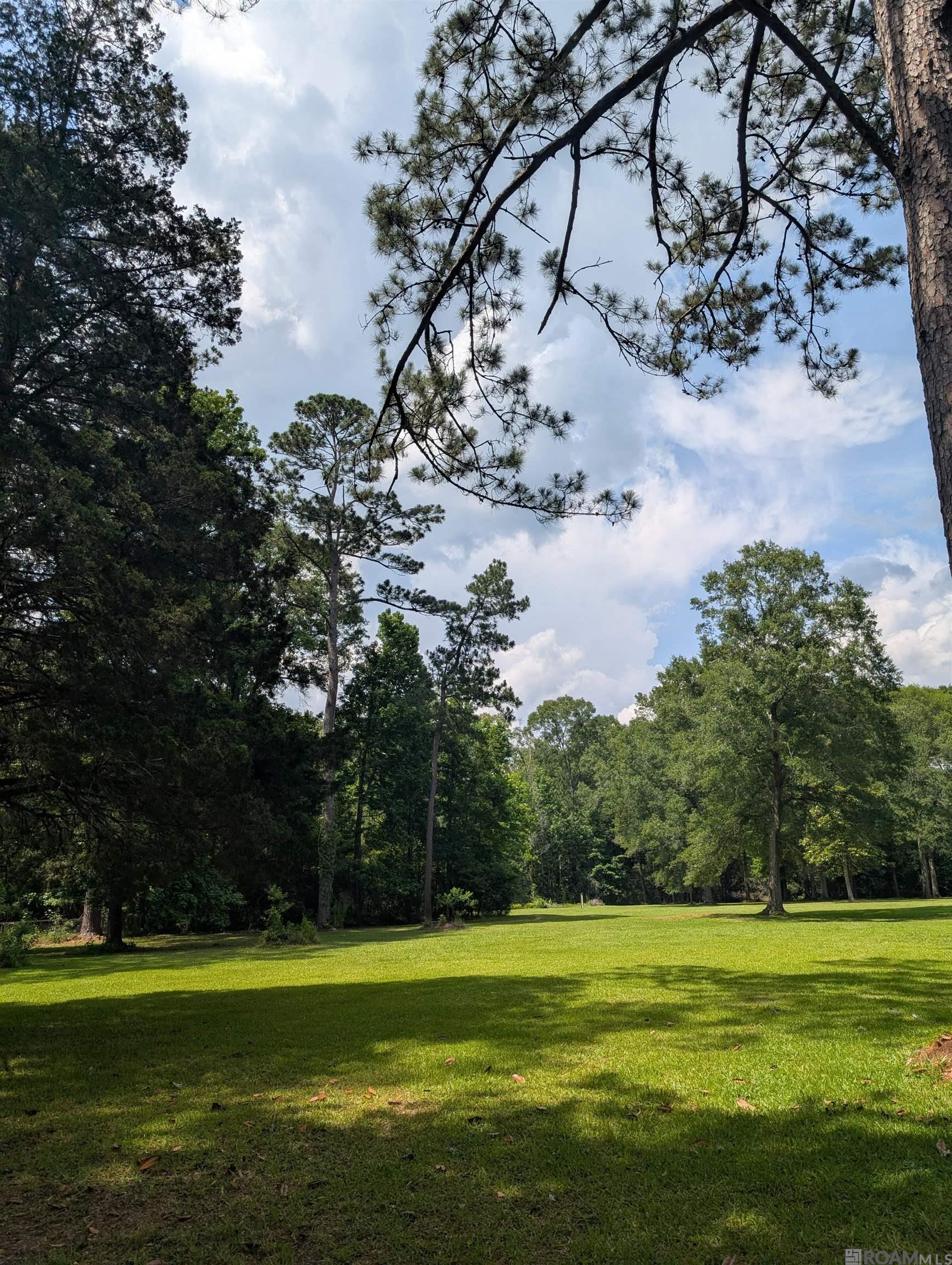TBD Newton St, Jackson, Louisiana image 4