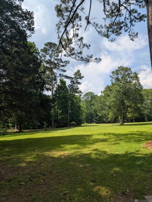 TBD NEWTON ST, JACKSON, LA 70748 - Image b2894c32c1fe2ed7233d907542cbd2d4/862770391