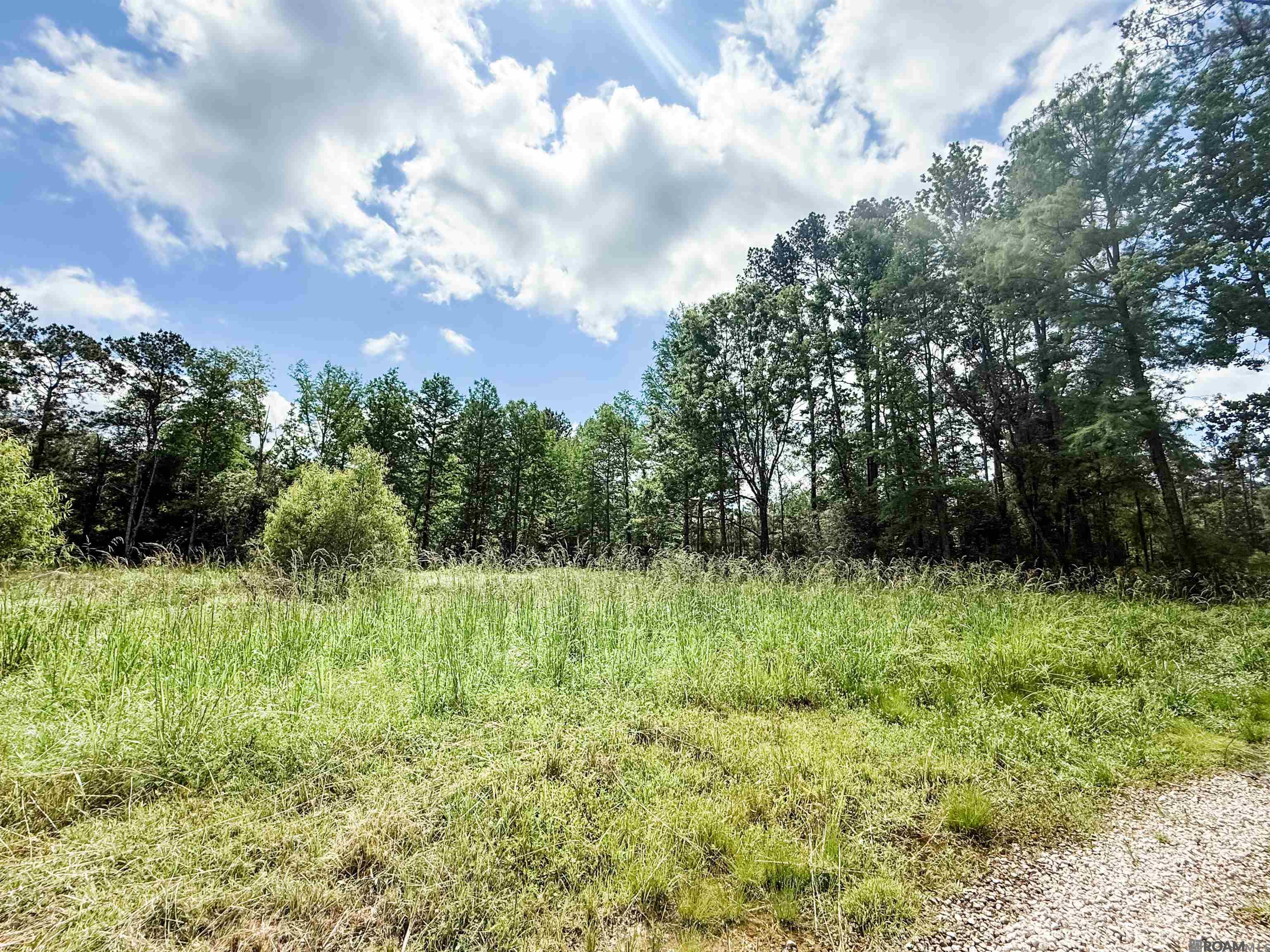 29378 S Anne Dr, Walker, Louisiana image 13