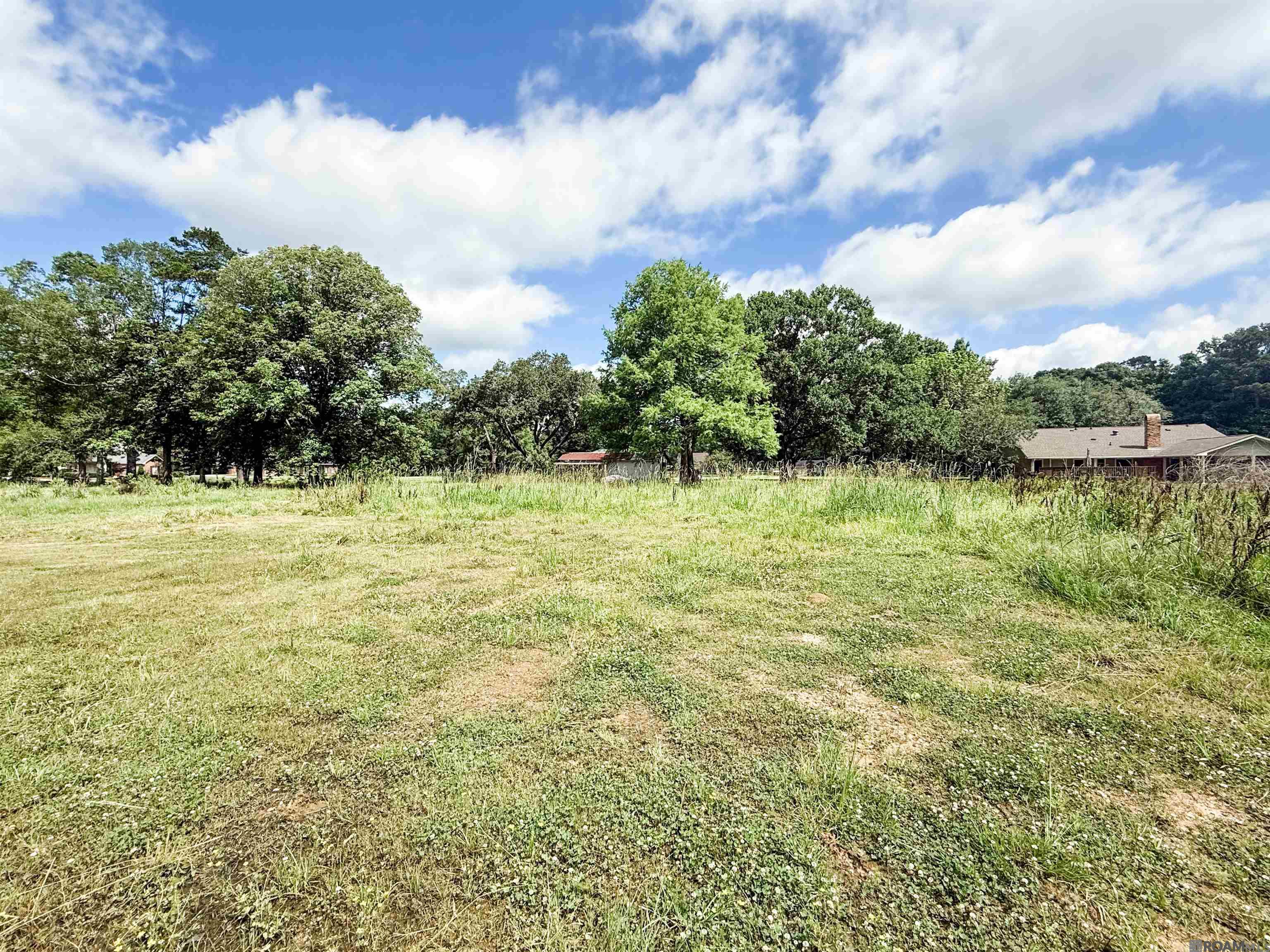 29378 S Anne Dr, Walker, Louisiana image 8