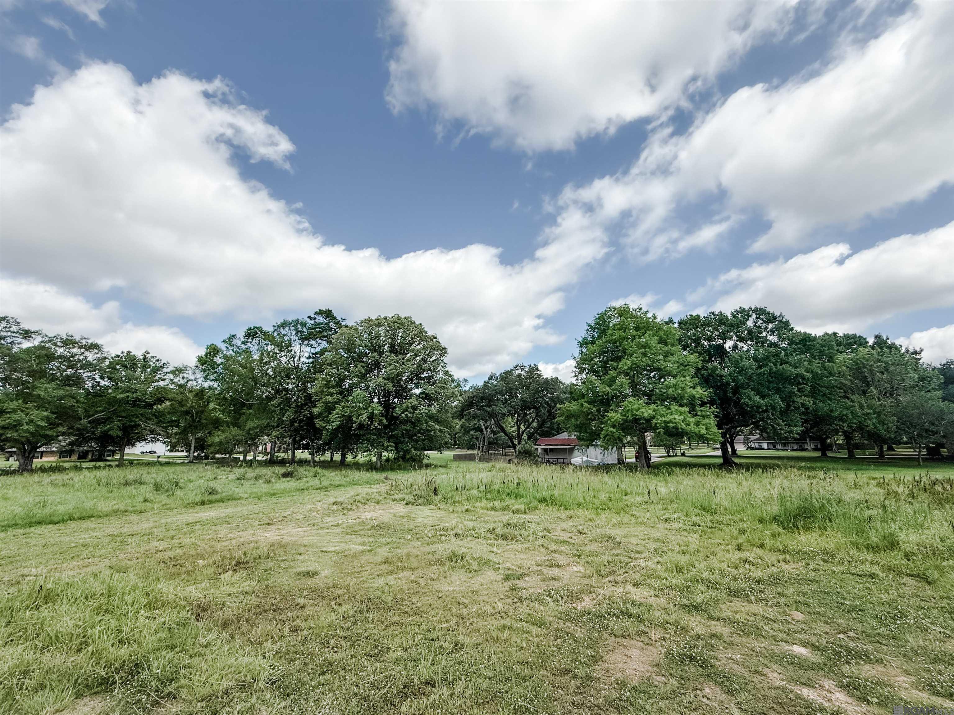 29378 S Anne Dr, Walker, Louisiana image 6