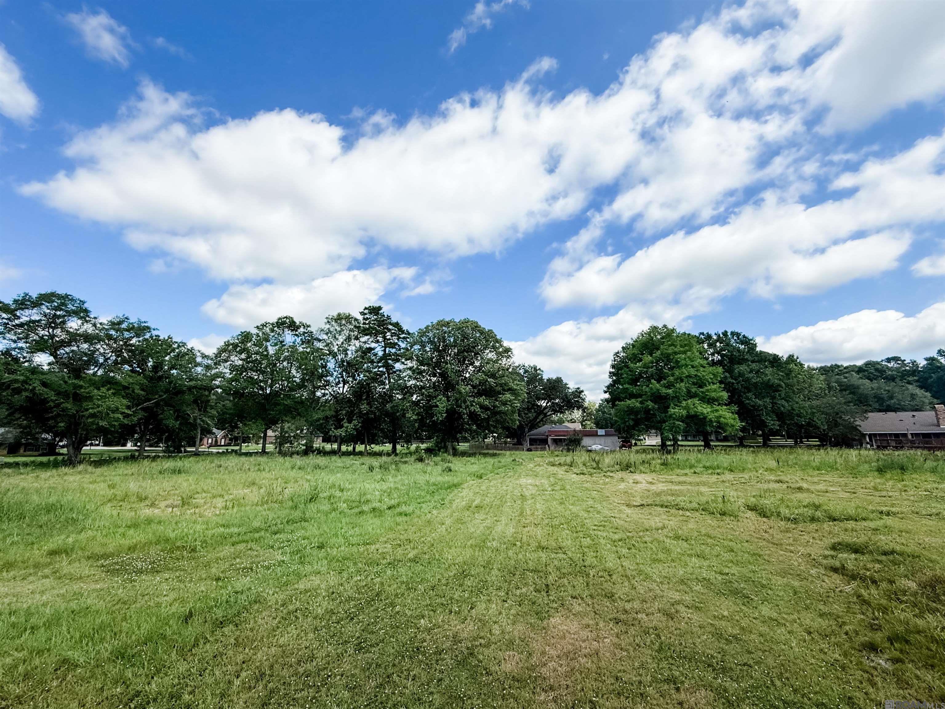 29378 S Anne Dr, Walker, Louisiana image 5