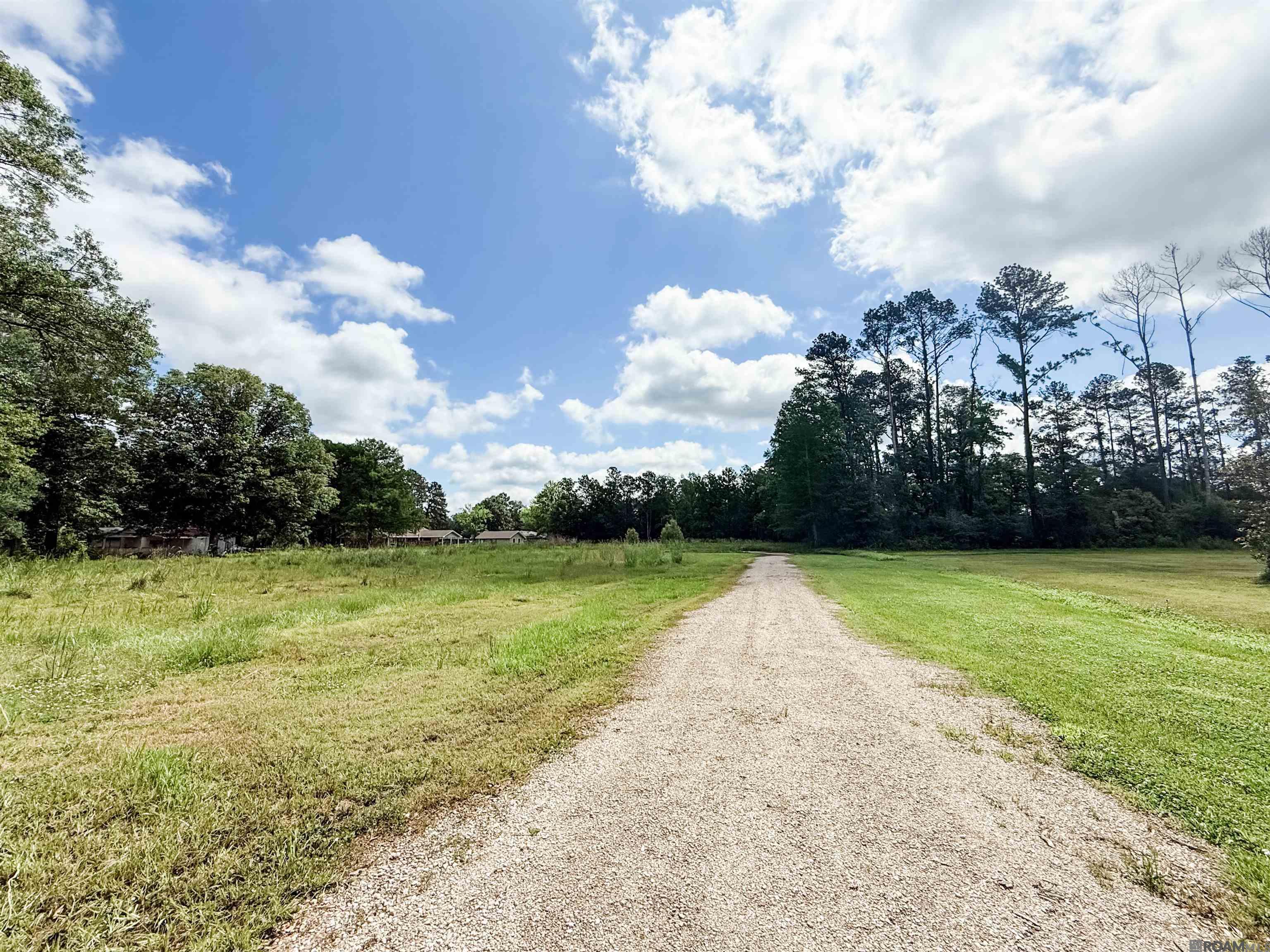 29378 S Anne Dr, Walker, Louisiana image 2