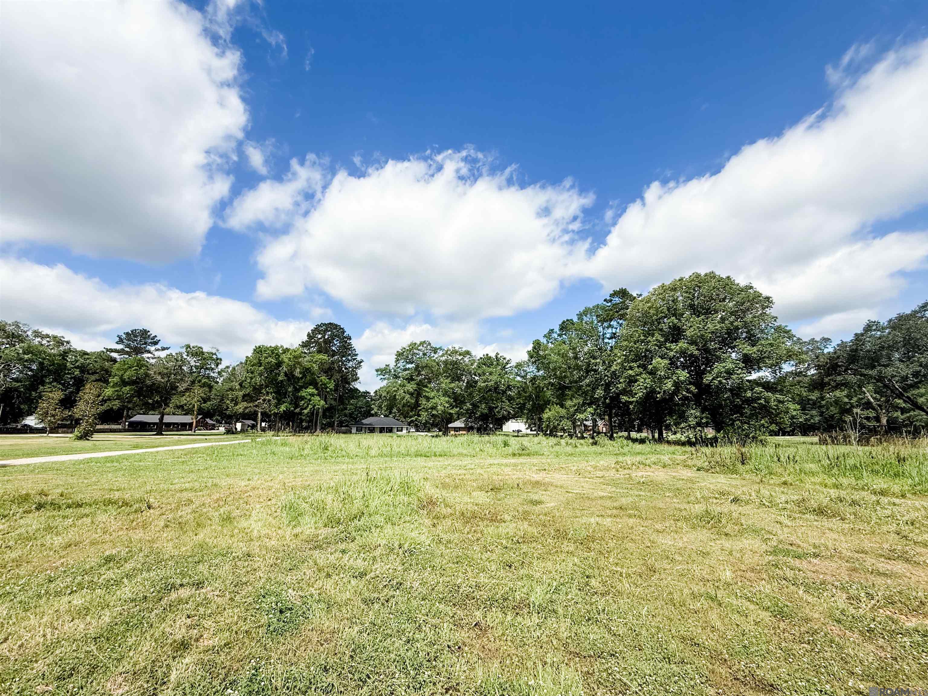 29378 S Anne Dr, Walker, Louisiana image 10