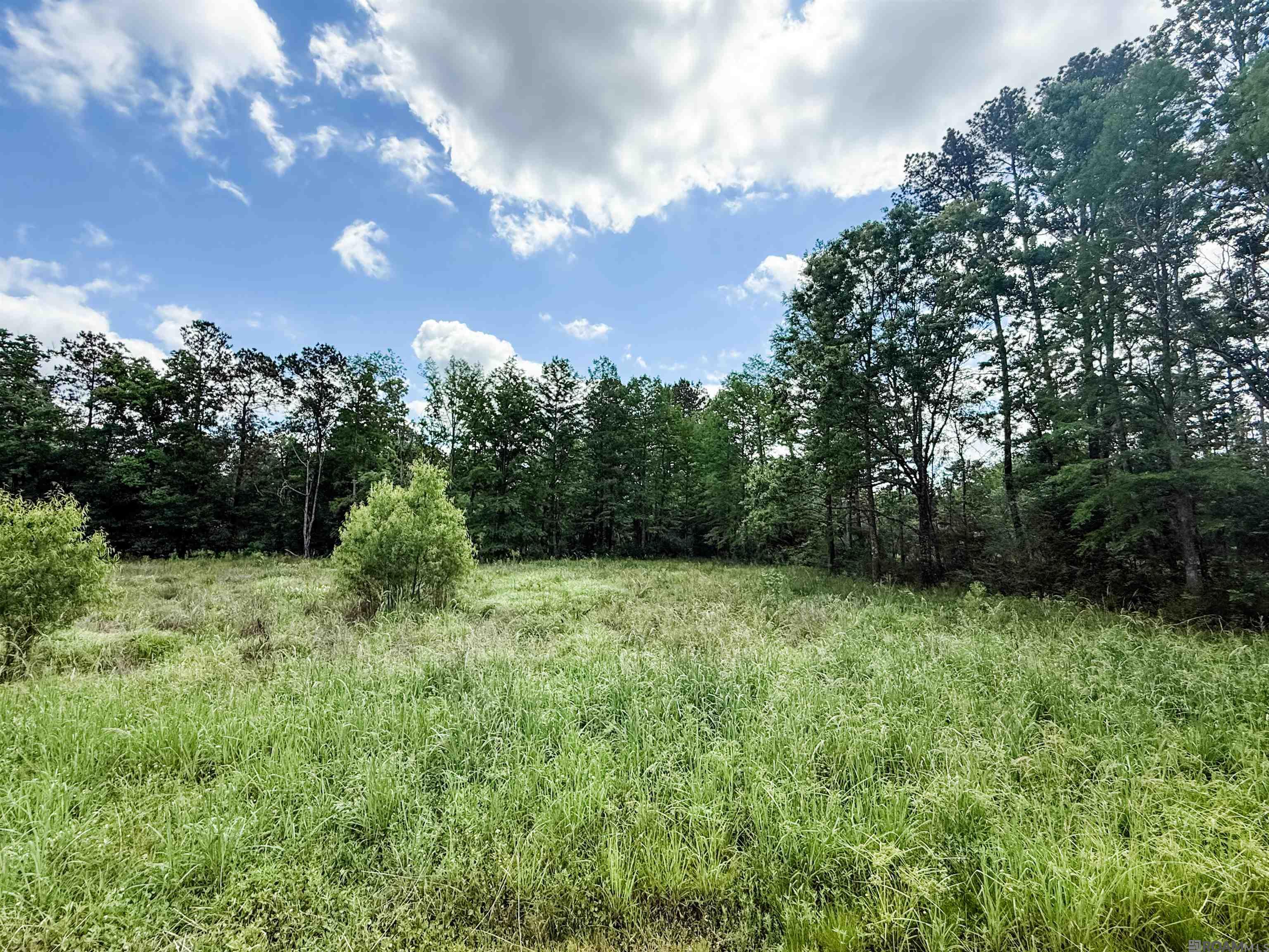29378 S Anne Dr, Walker, Louisiana image 14