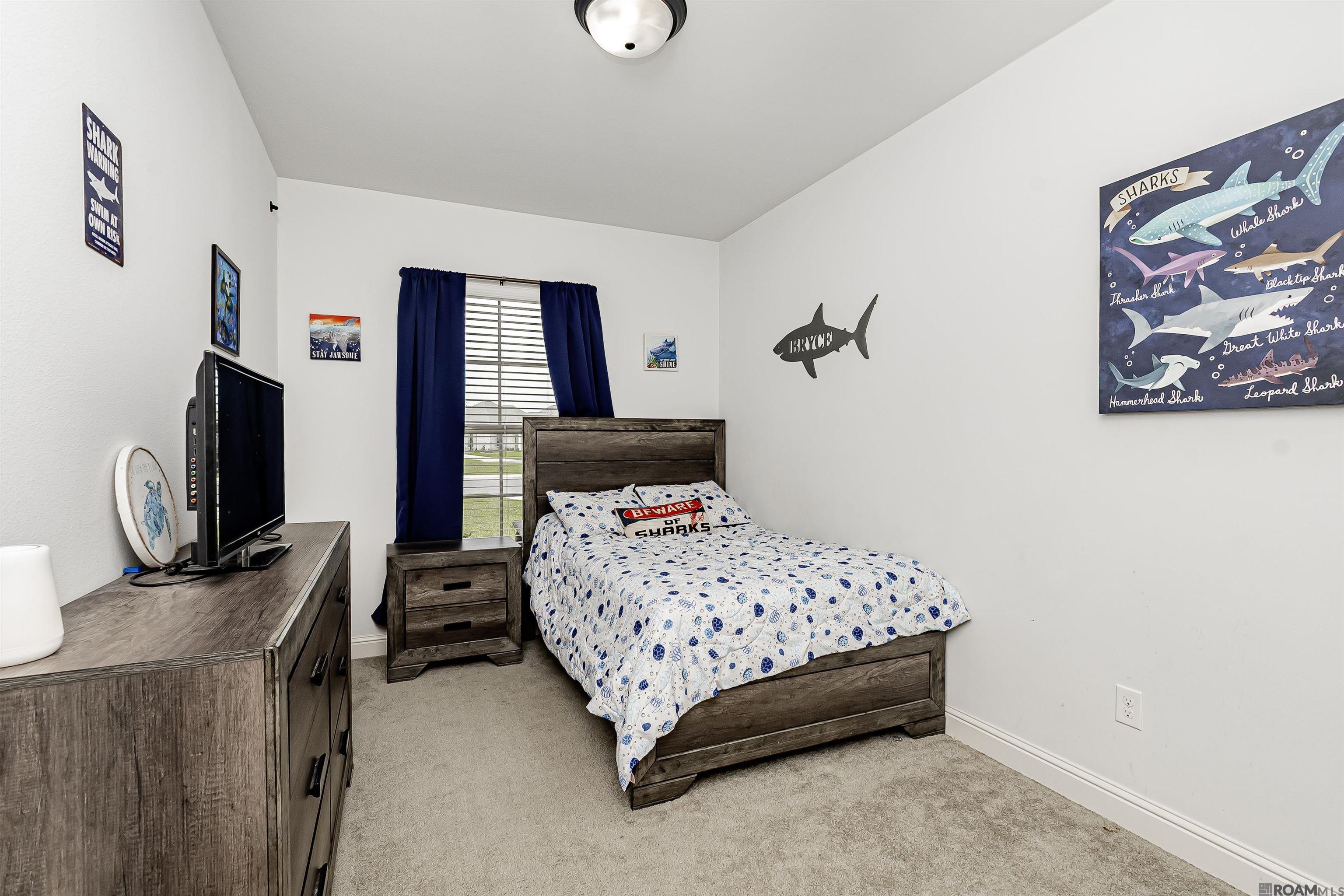 40256 Maddie Dr, Prairieville, Louisiana image 14