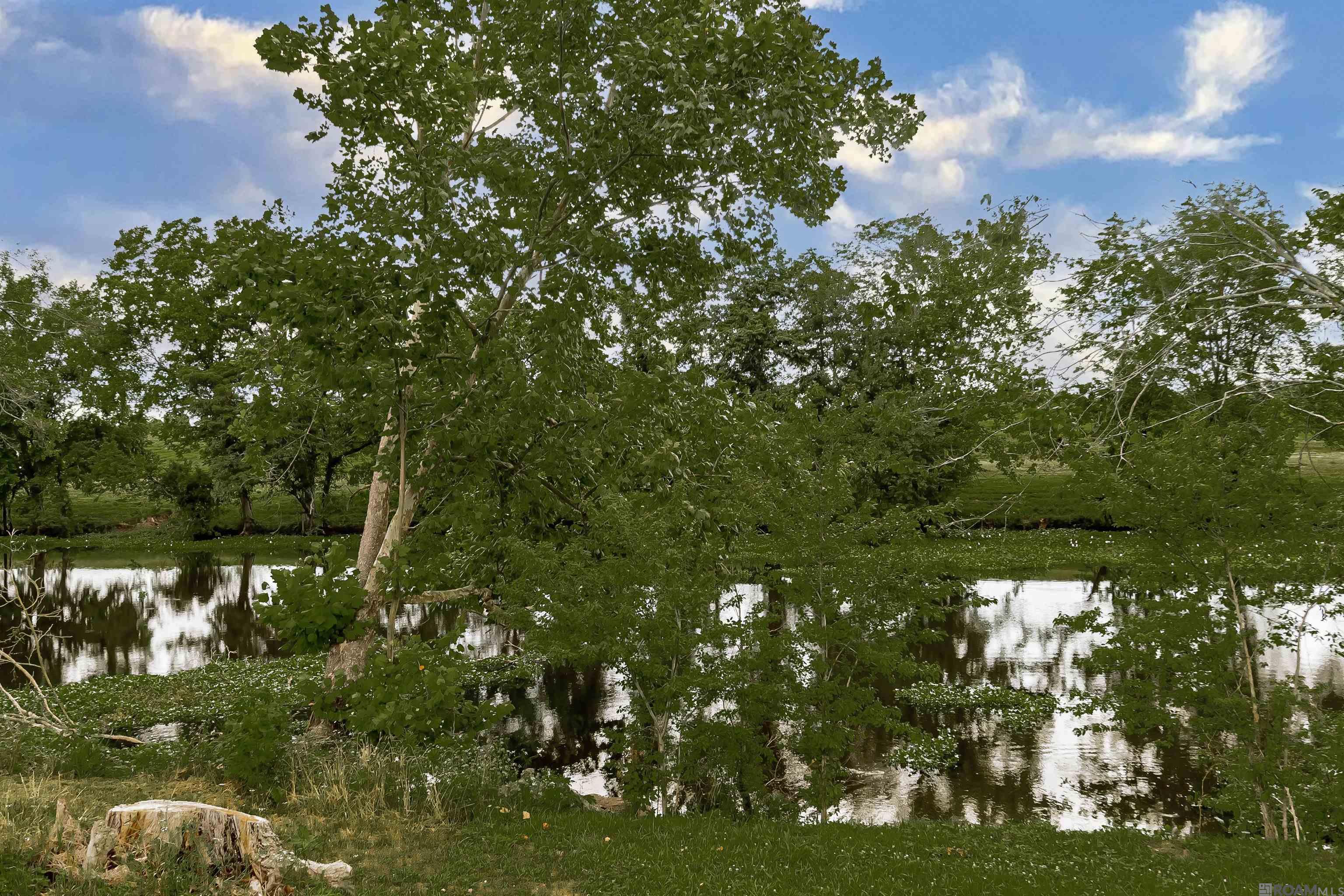 12805 Fordoche Bayou Rd, Morganza, Louisiana image 24