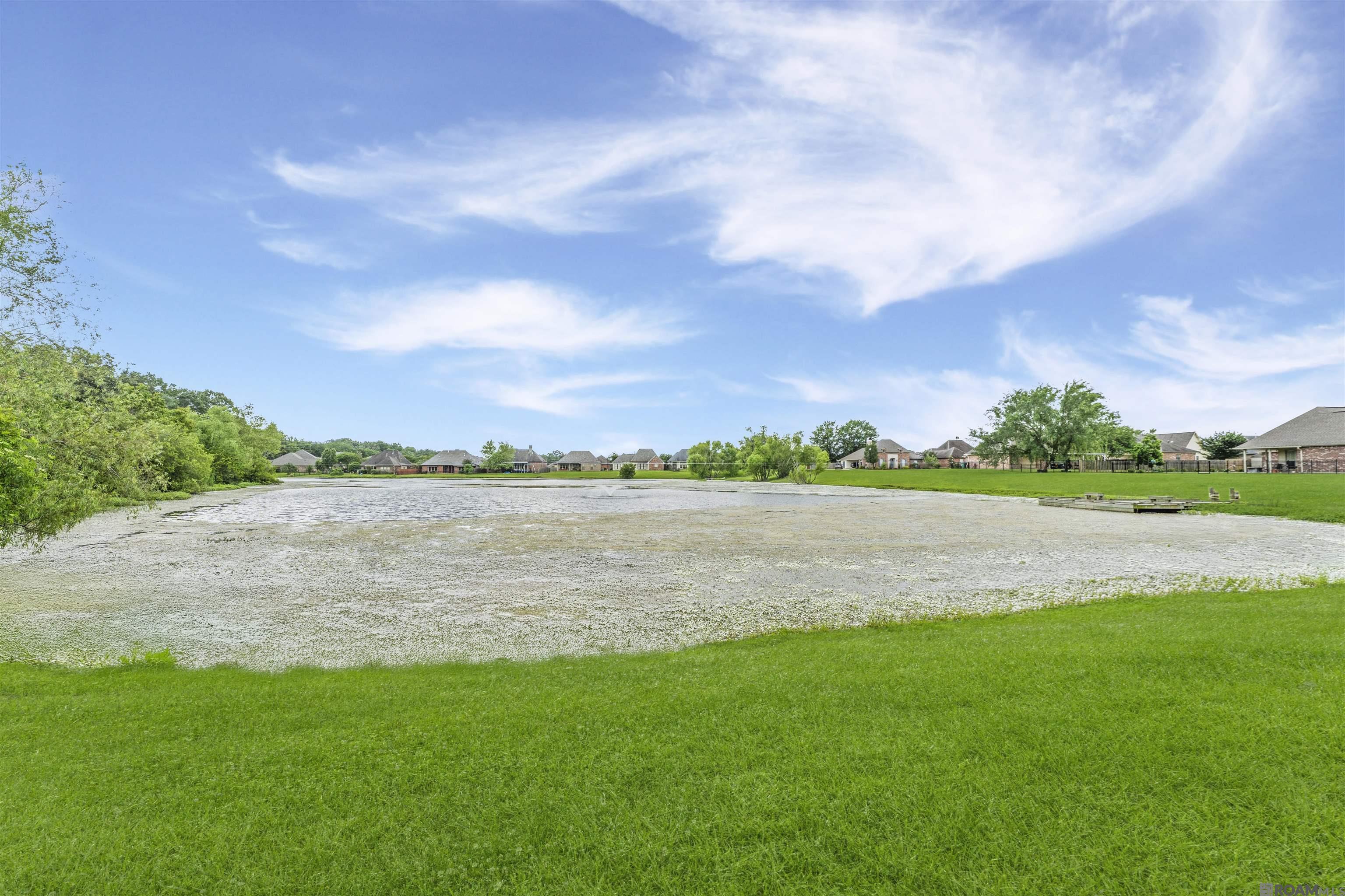 2070 High Point Dr, Zachary, Louisiana image 22