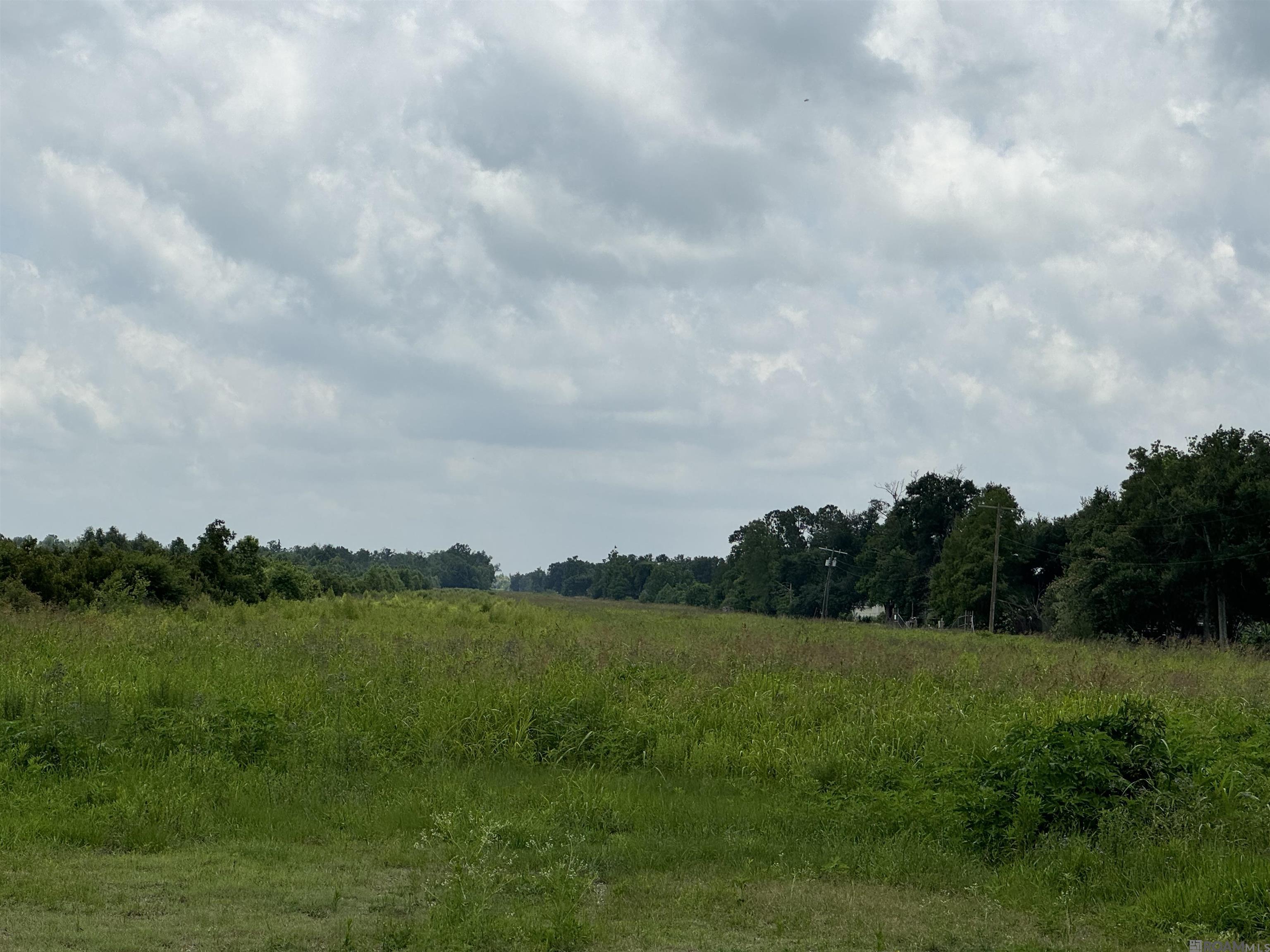 TBD Hwy 1, Raceland, Louisiana image 7