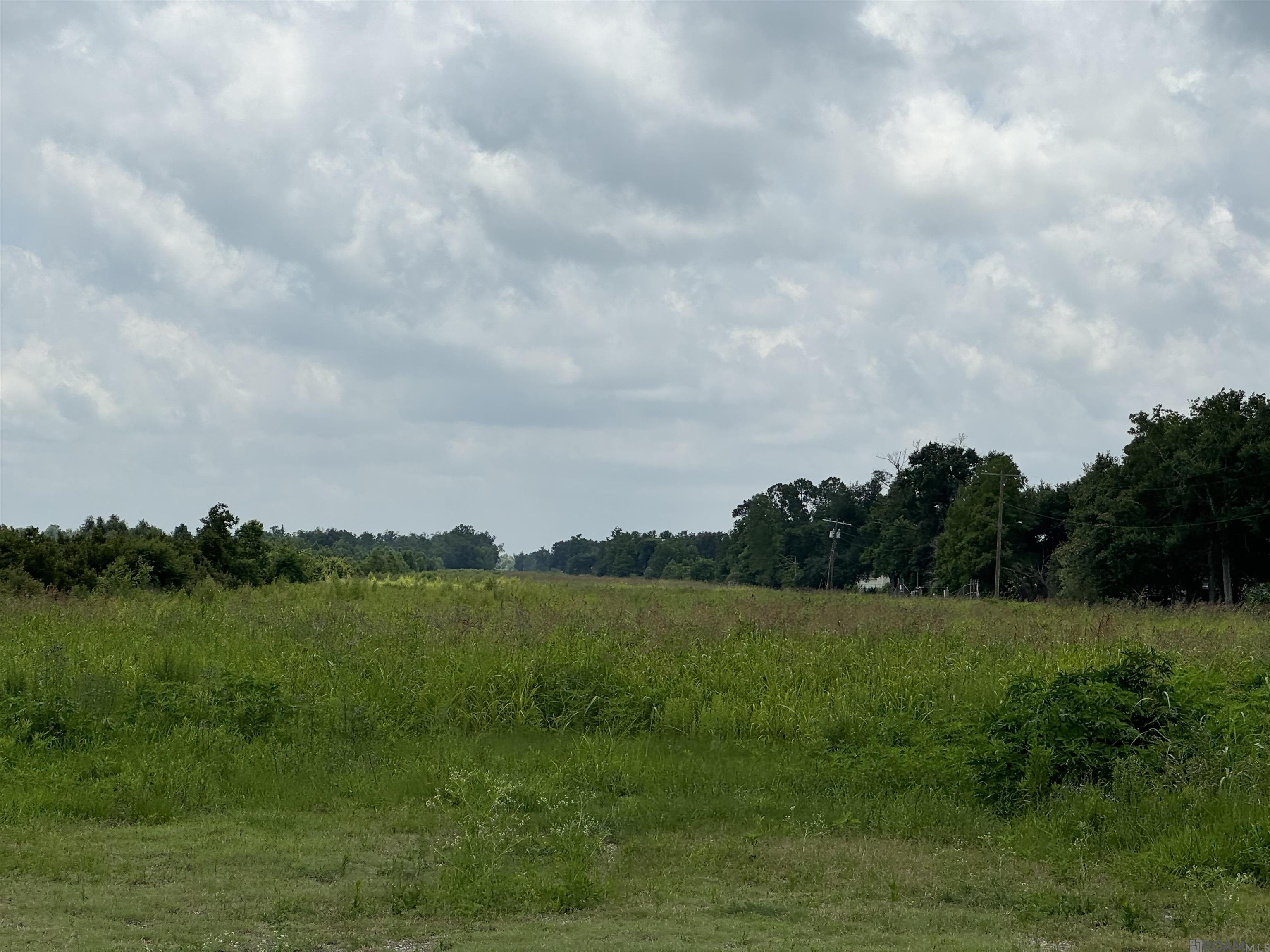 TBD Hwy 1, Raceland, Louisiana image 11